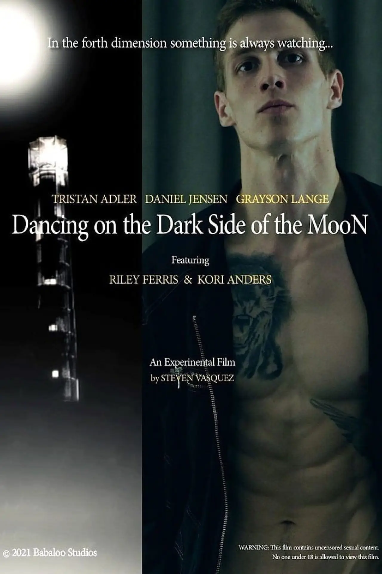 Movie poster "Dancing on the Dark Side of the Moon"