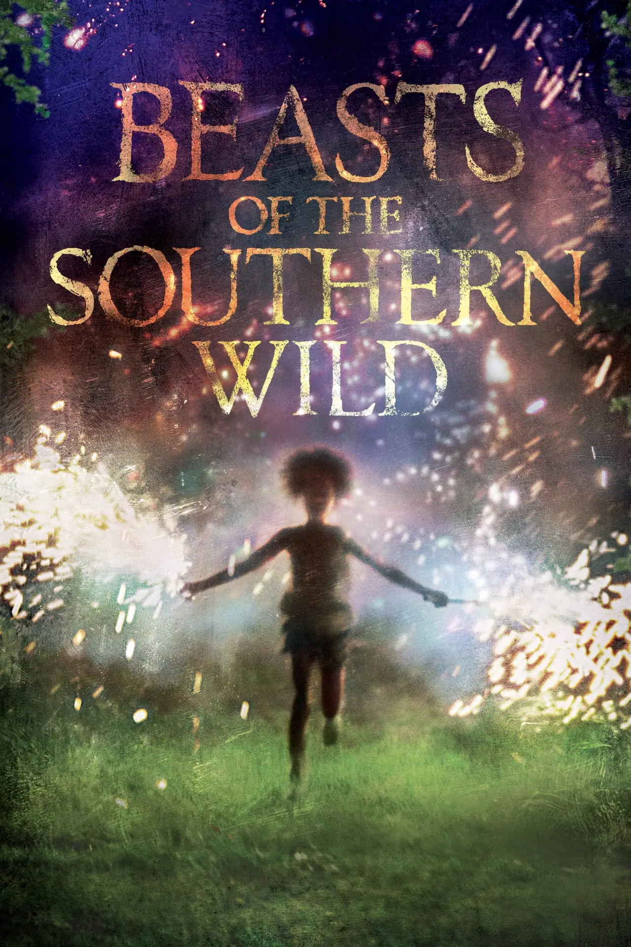 Movie poster "Beasts of the Southern Wild"