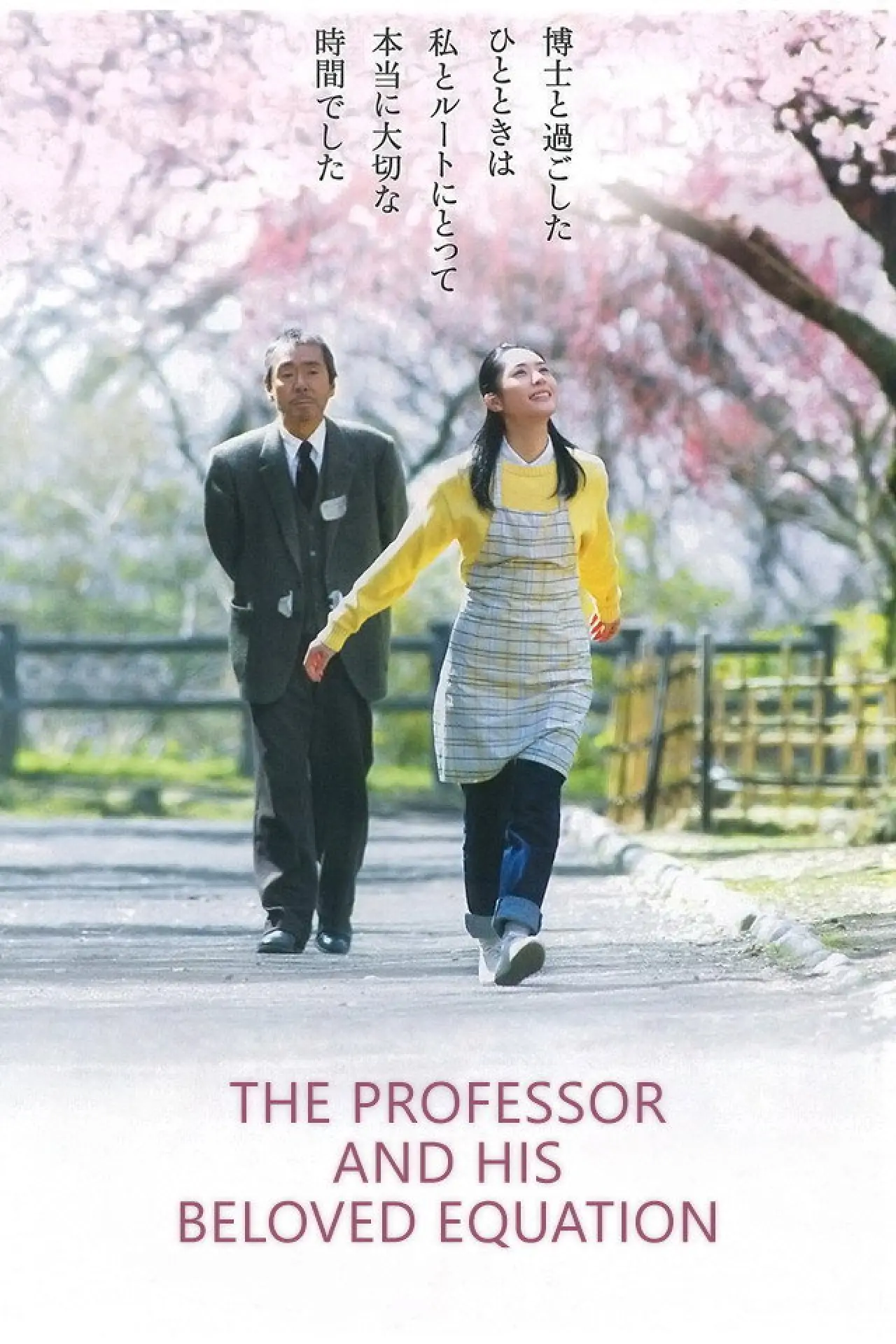 Movie poster "The Professor and His Beloved Equation"