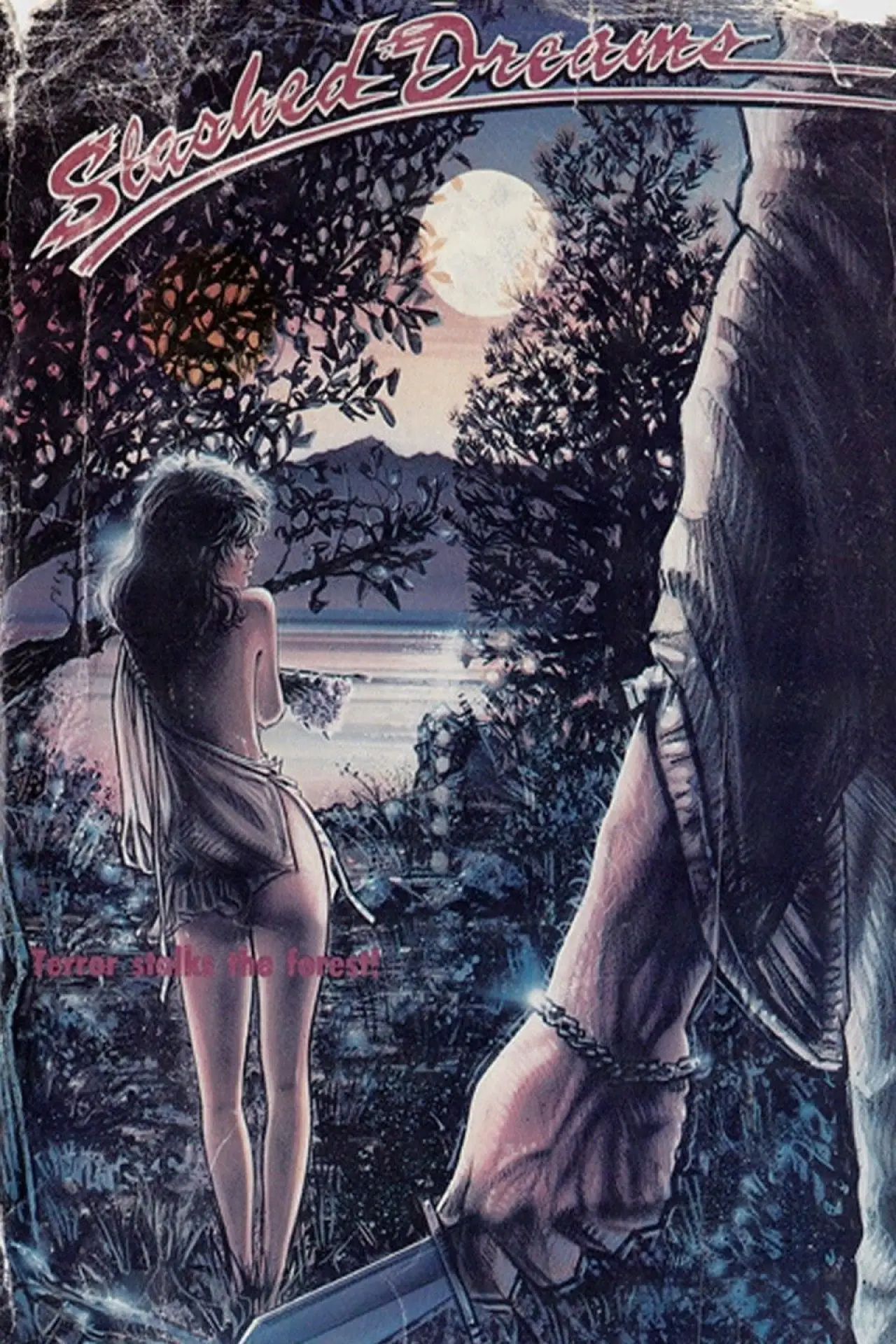 Movie poster "Slashed Dreams"