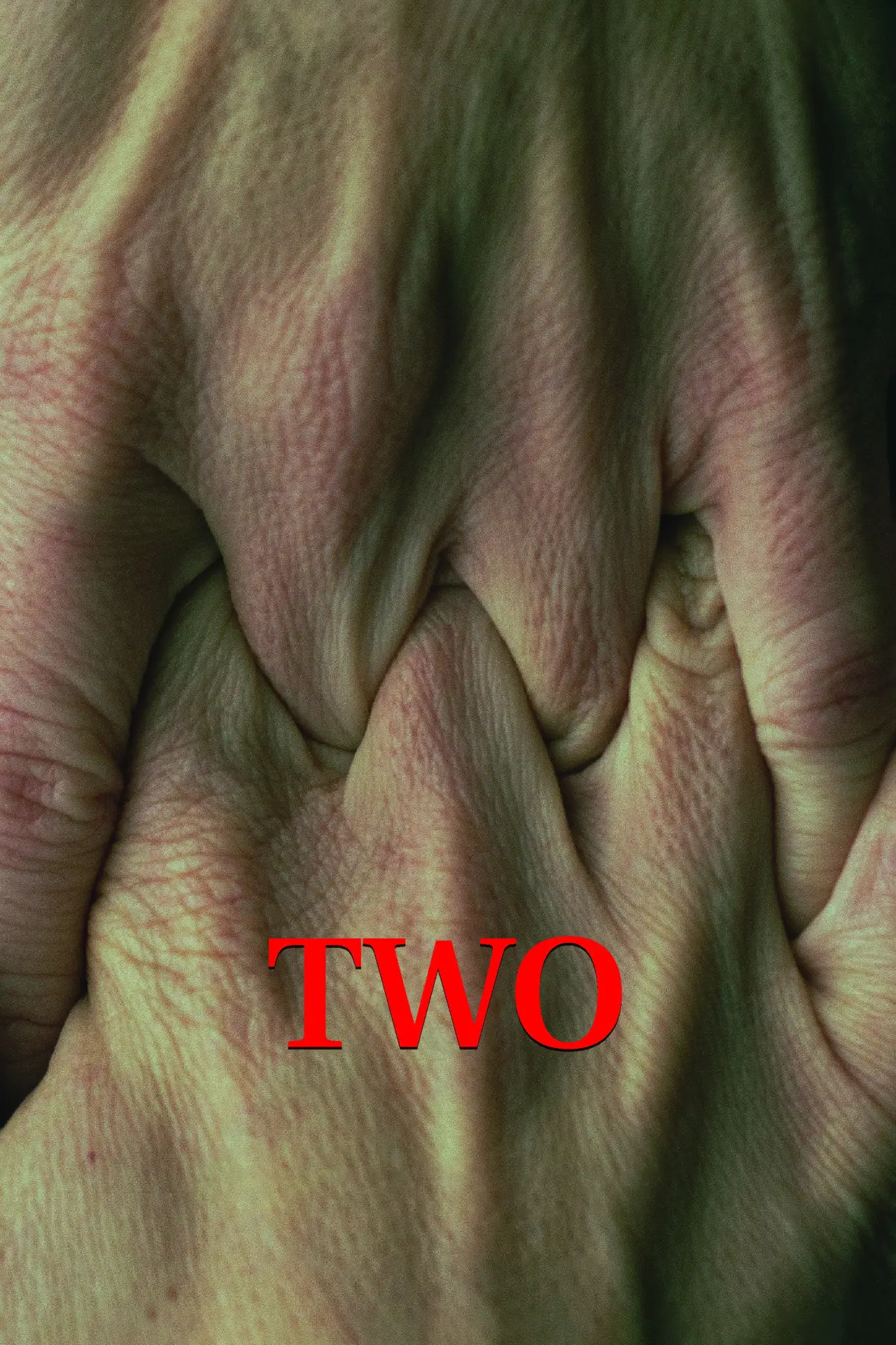 Movie poster "Two"