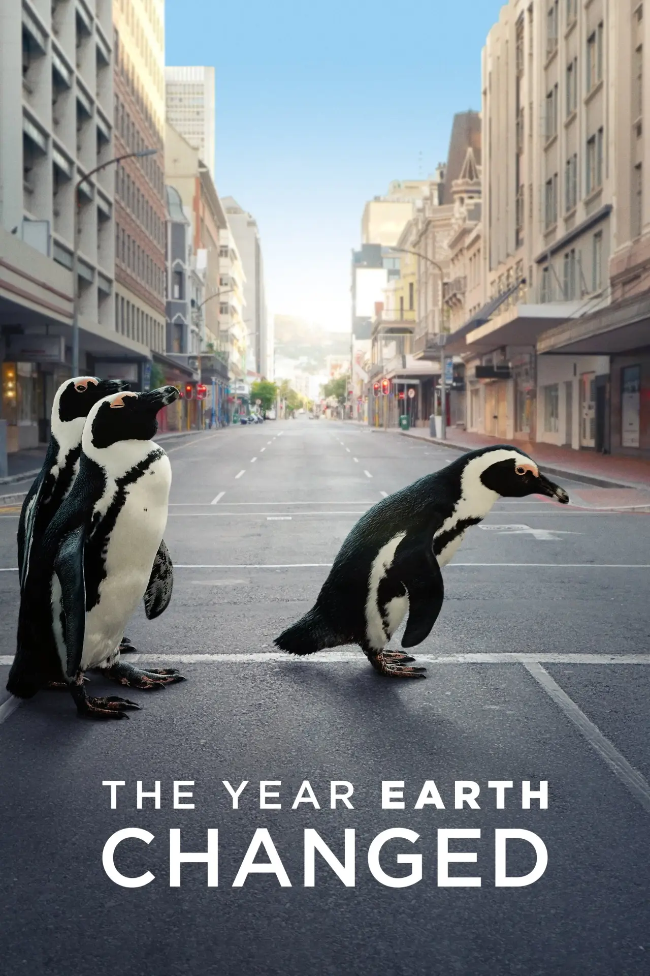 Movie poster "The Year Earth Changed"