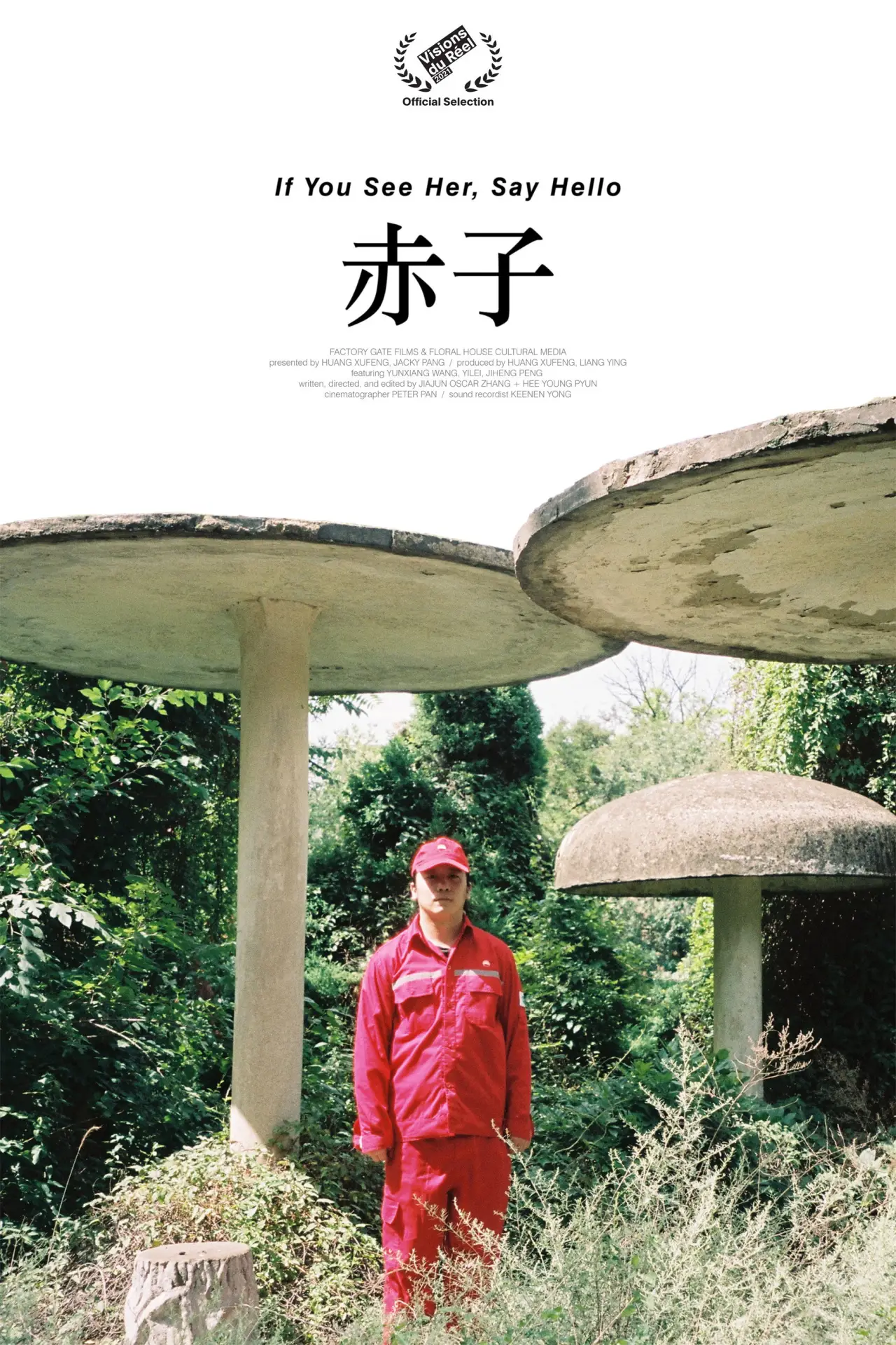 Movie poster "If You See Her, Say Hello"