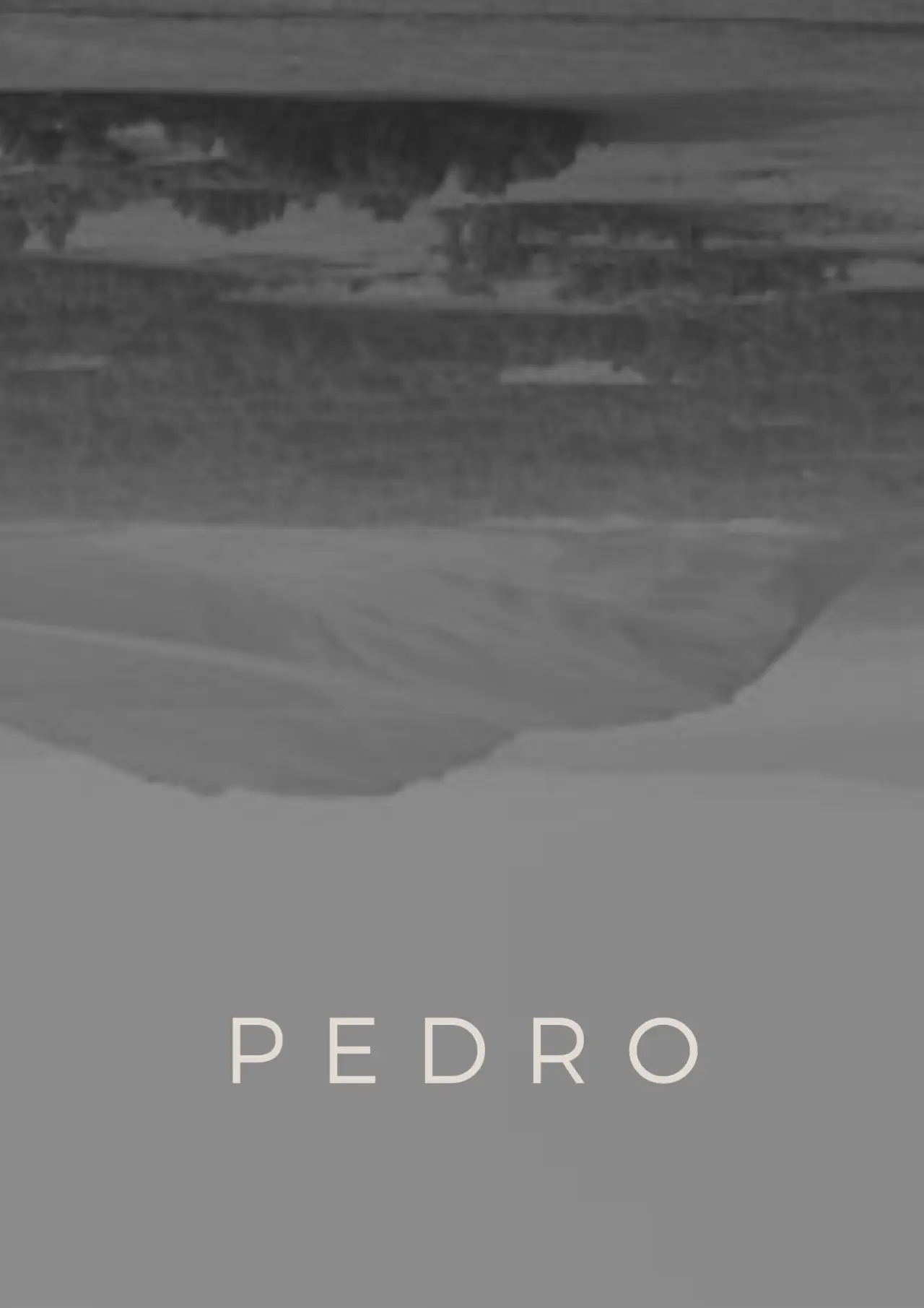 Movie poster "Pedro"