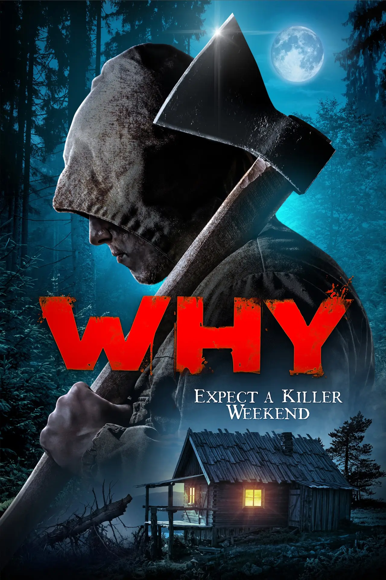 Movie poster "Why?"