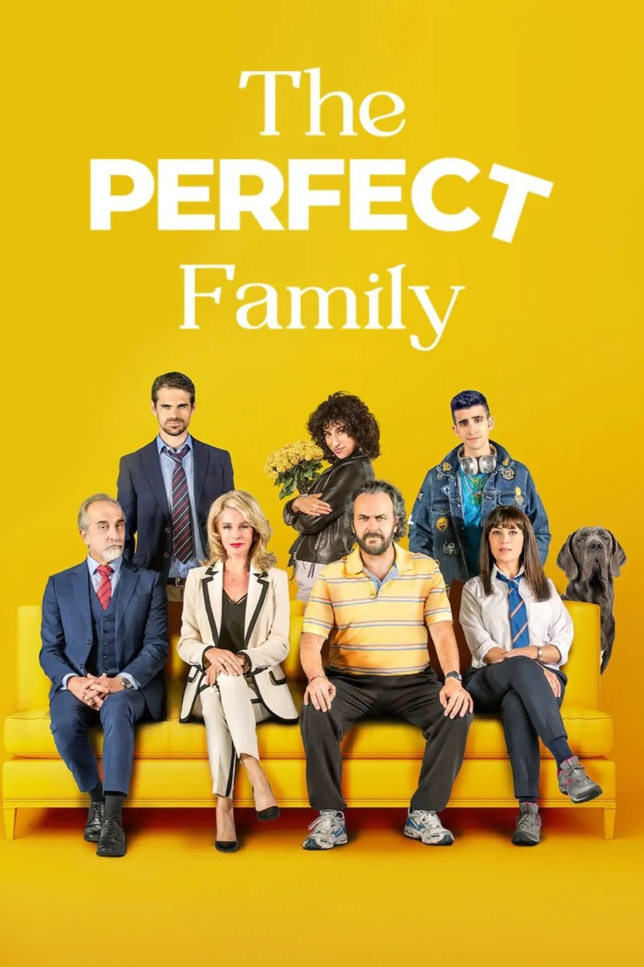Movie poster "The Perfect Family"
