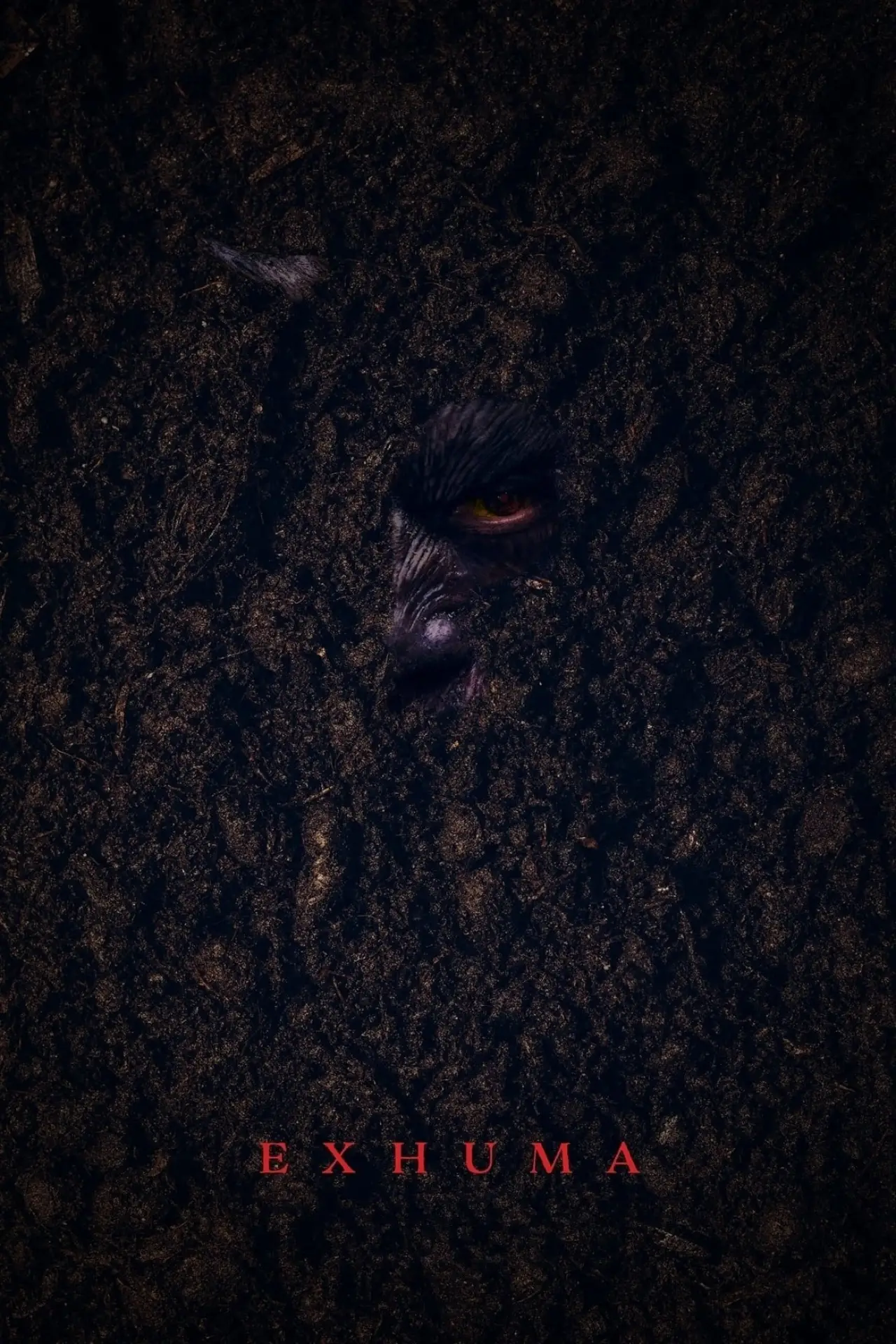 Movie poster "Exhuma"
