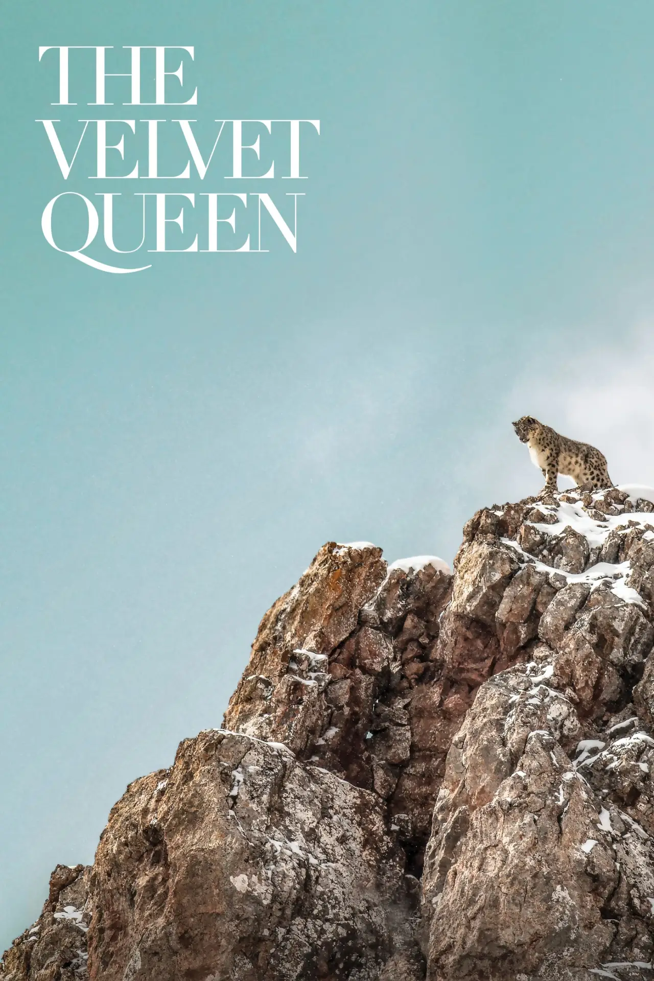 Movie poster "The Velvet Queen"