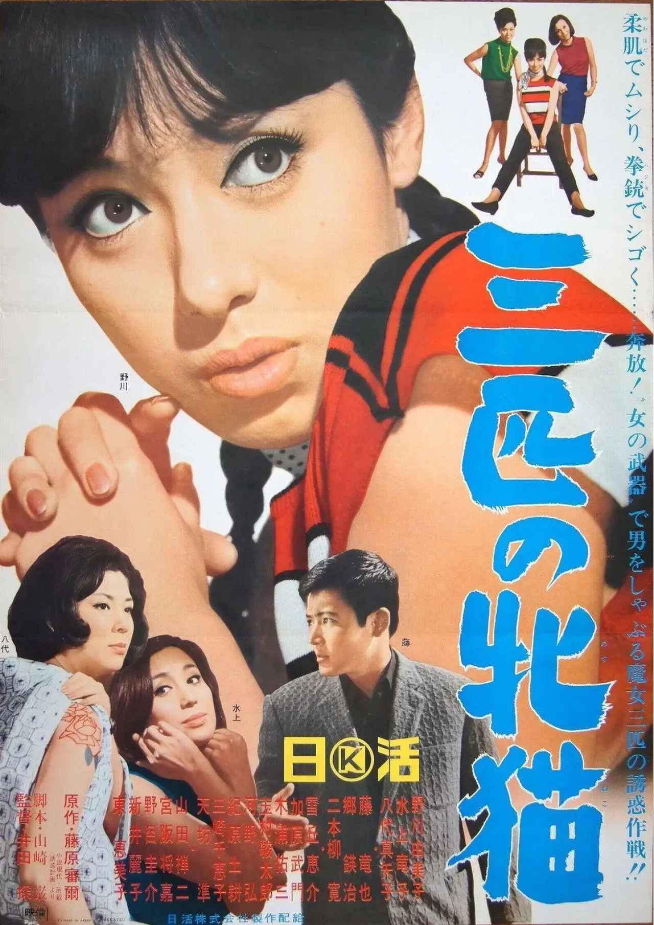 Movie poster "Three Wild Cats"