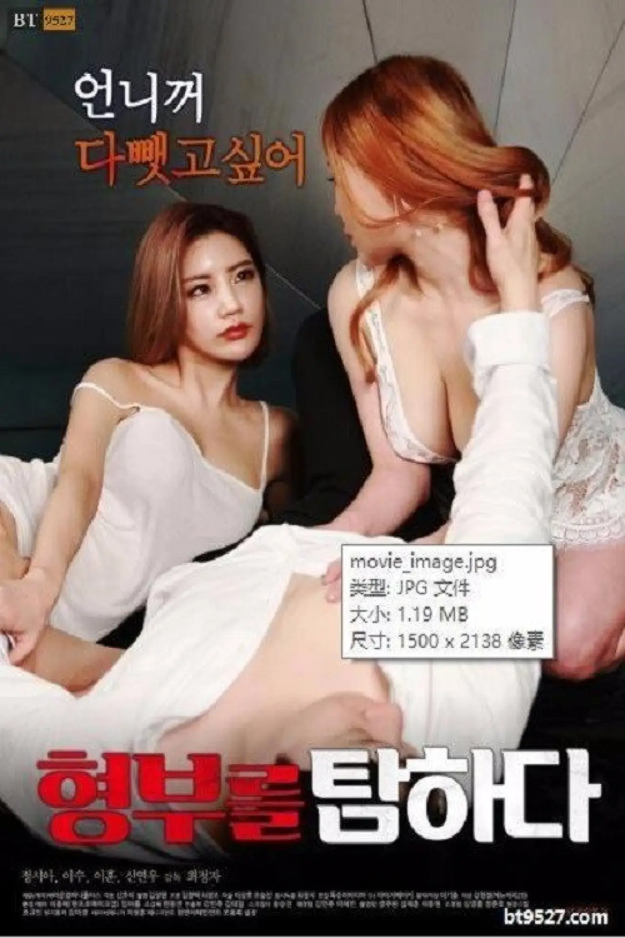 Movie poster "Covet Your Brother-in-law"