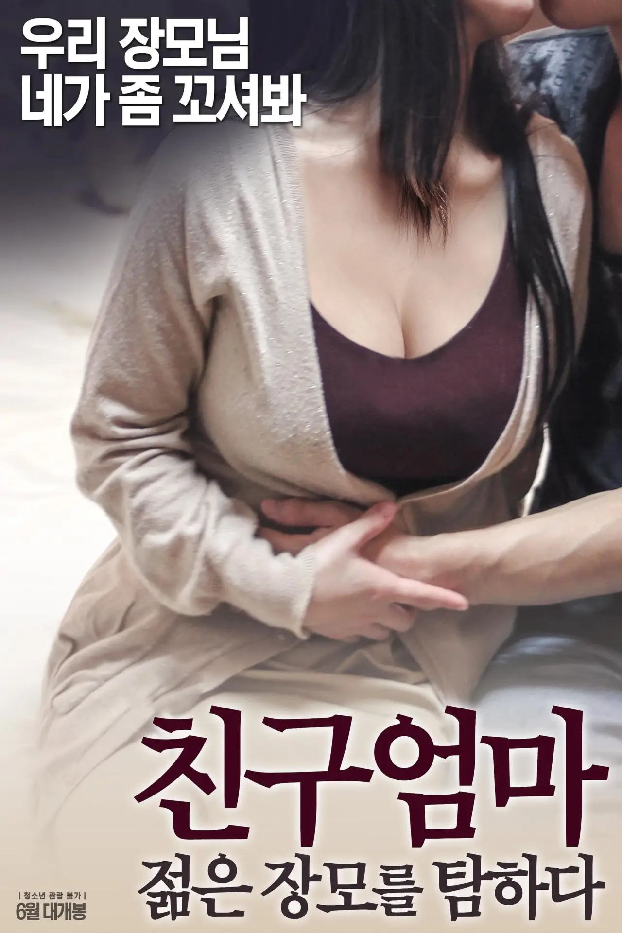 Movie poster "친구 엄마: 젊은 장모를 탐하다"