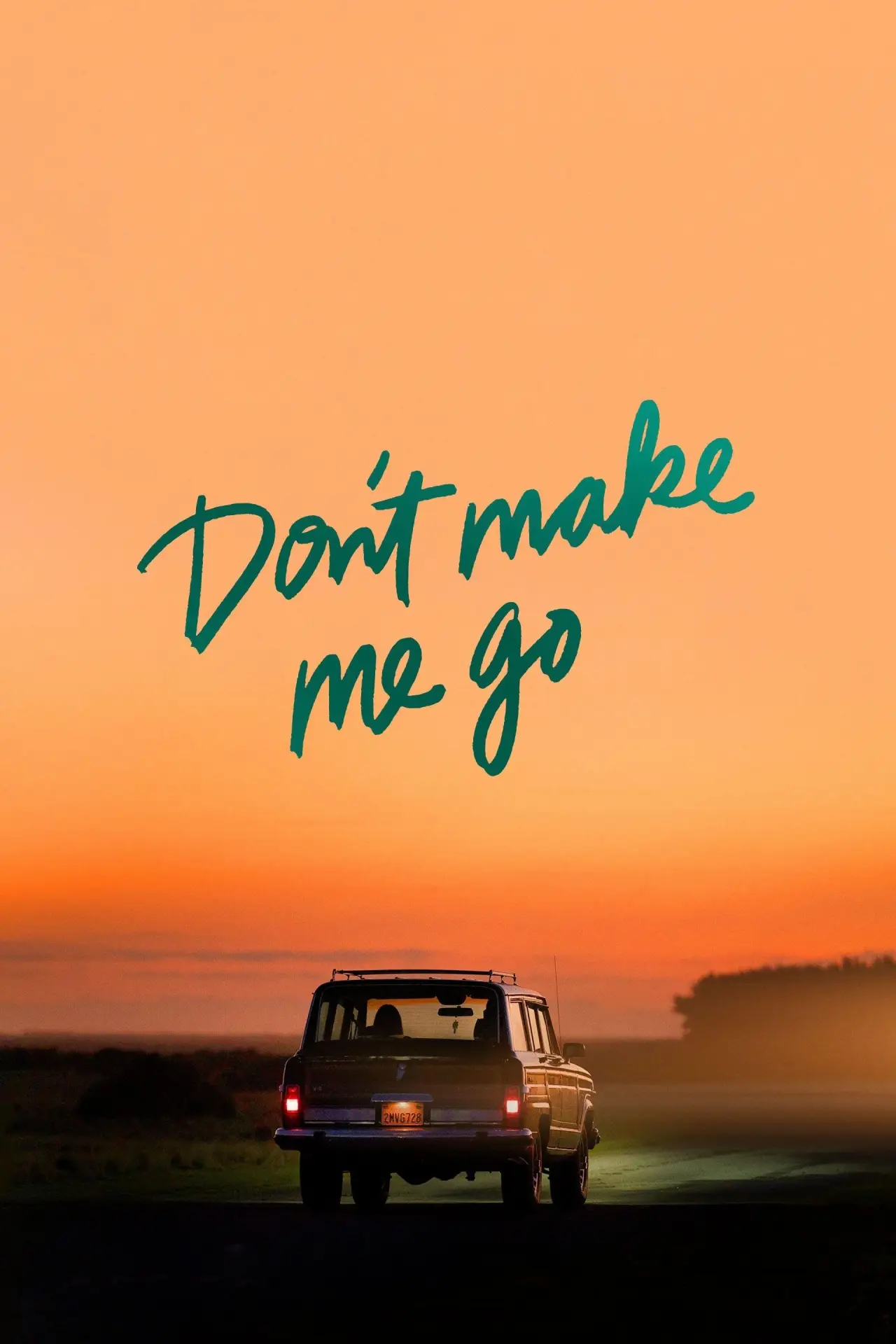 Movie poster "Don