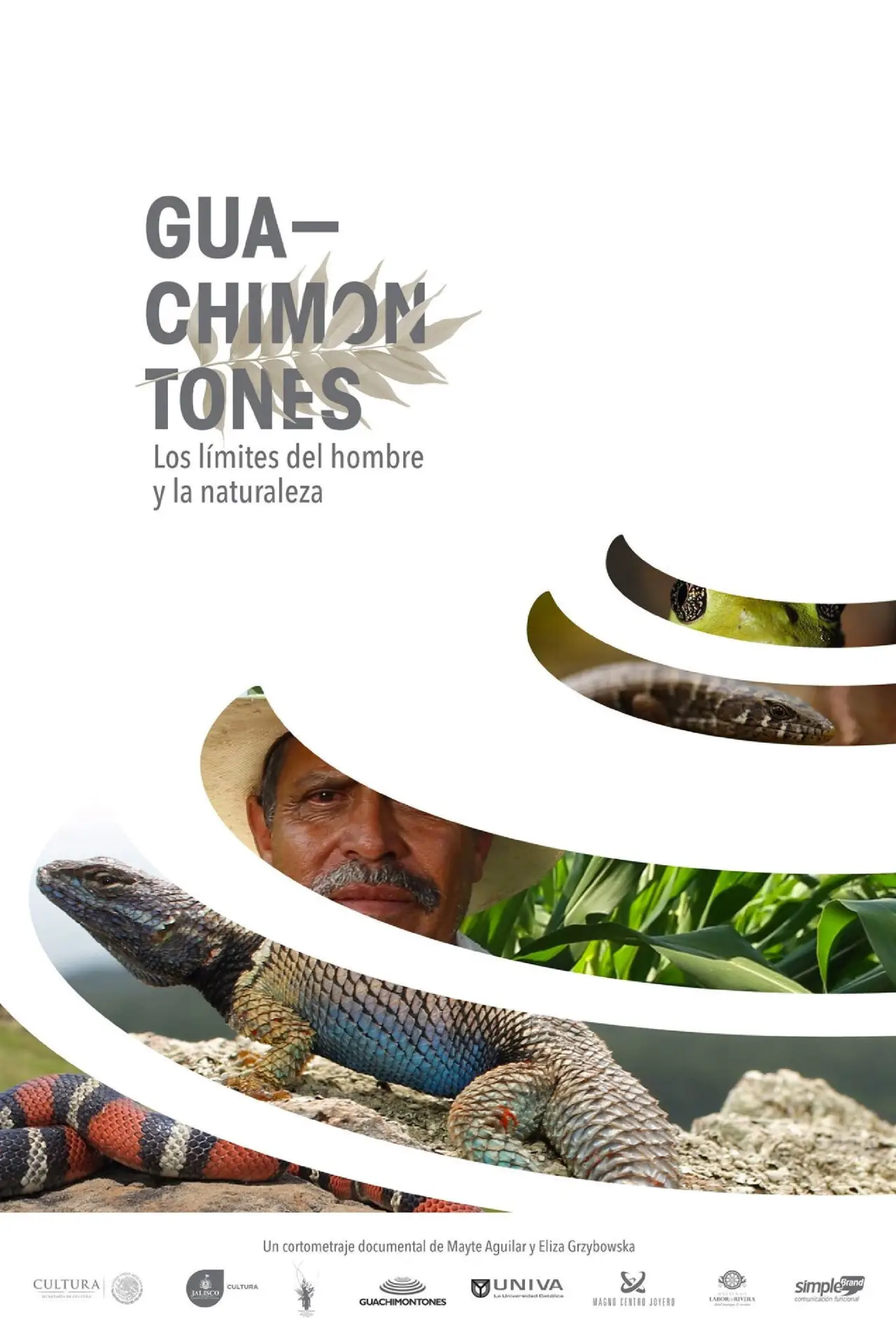 Movie poster "Guachimontones, los límites del hombre y la naturaleza."