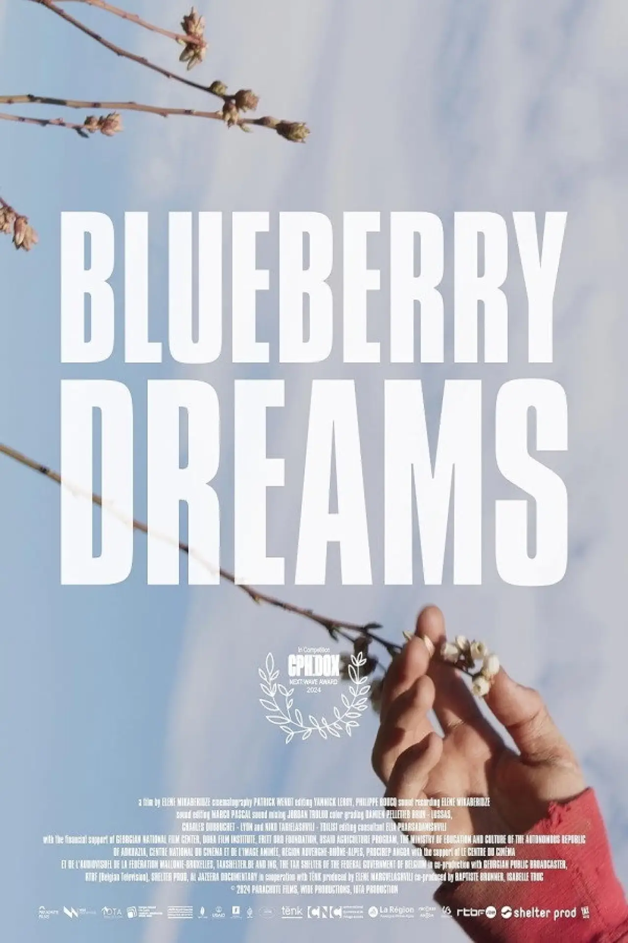 Movie poster "Blueberry Dreams"