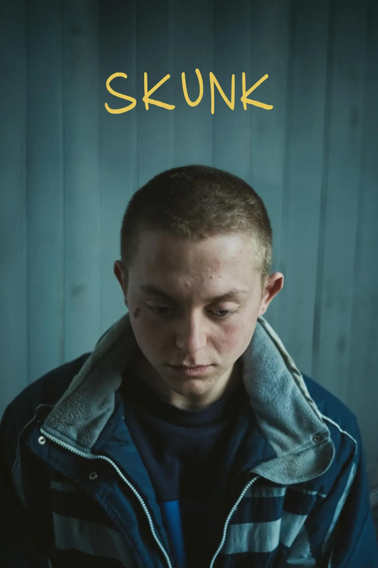 Movie poster "Skunk"
