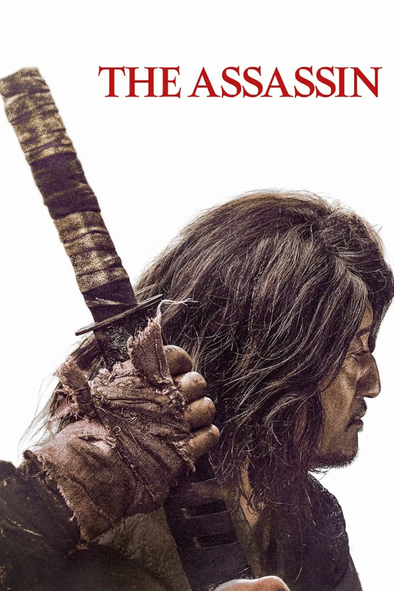 Movie poster "The Assassin"