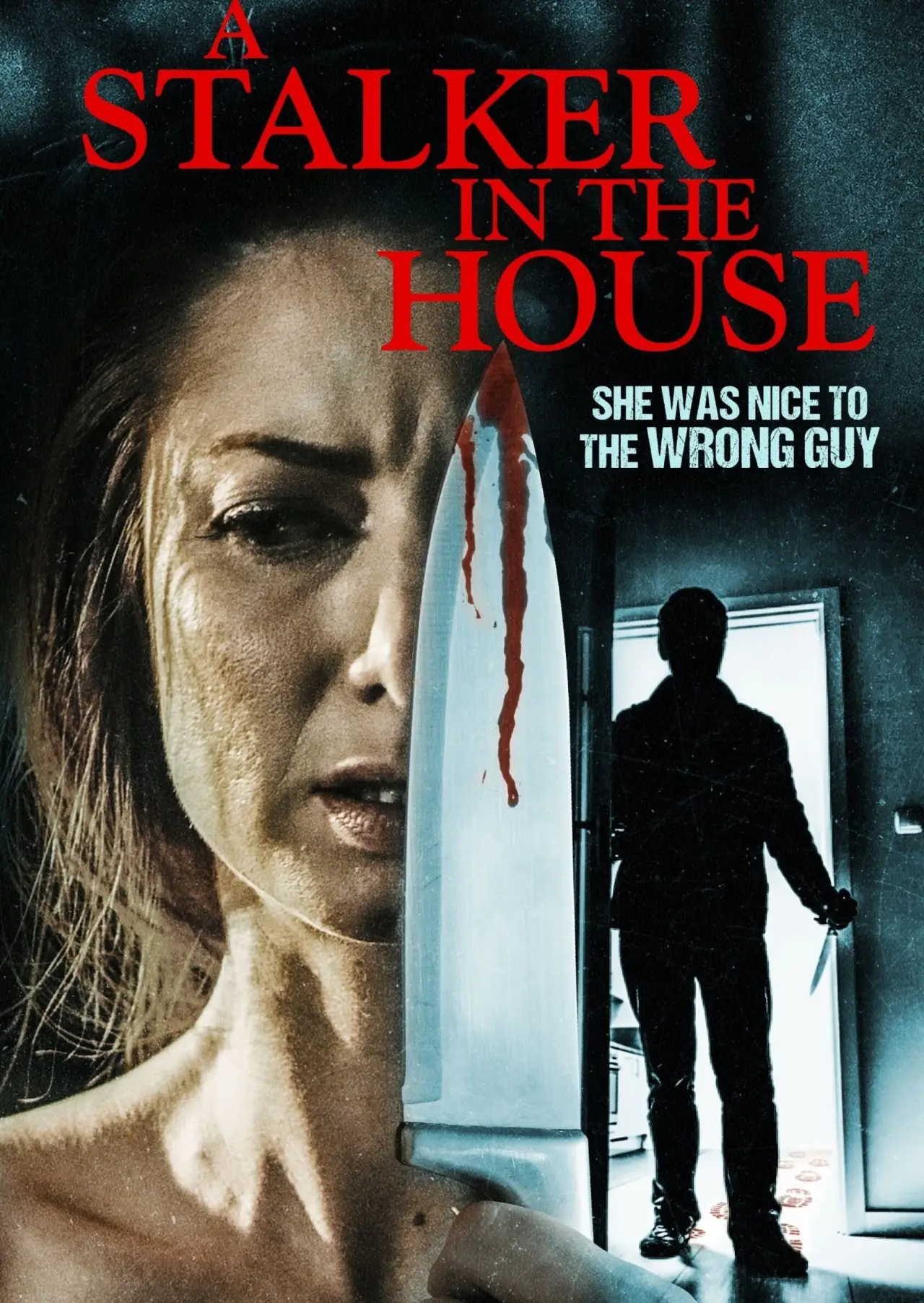 Movie poster "A Stalker in the House"