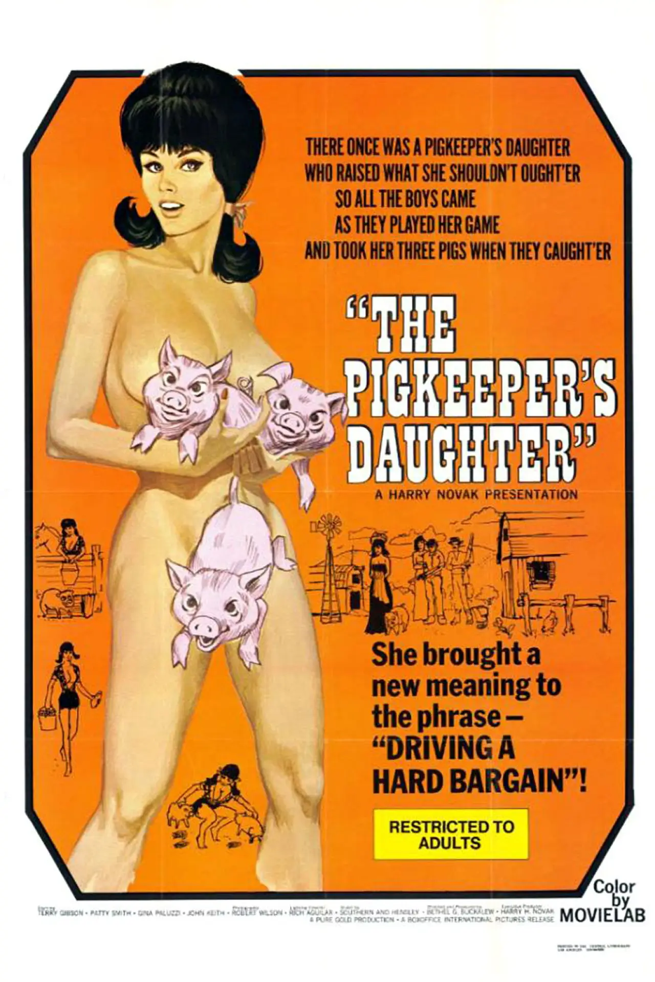 Movie poster "The Pig Keeper