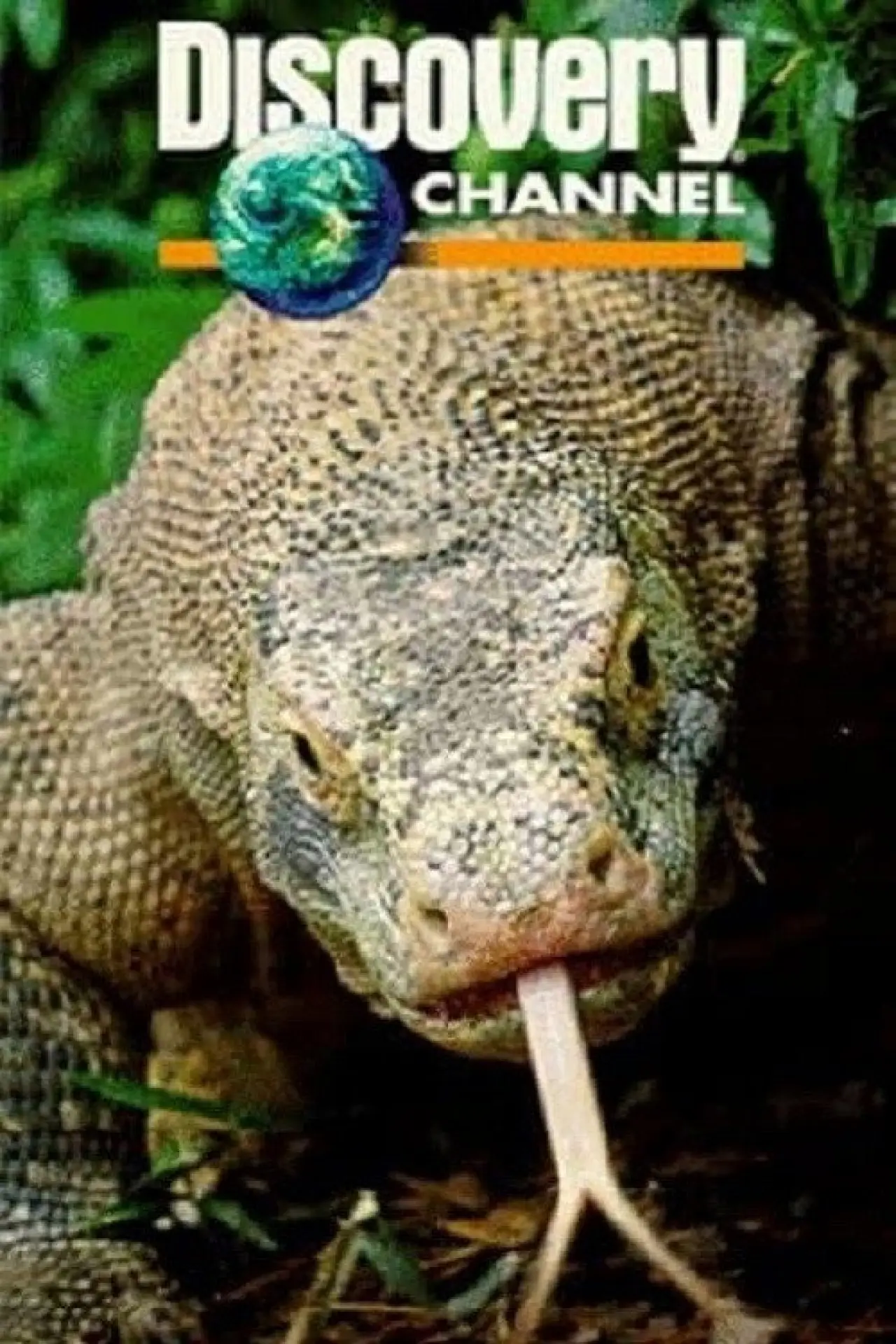 Movie poster "Dragons of Komodo"