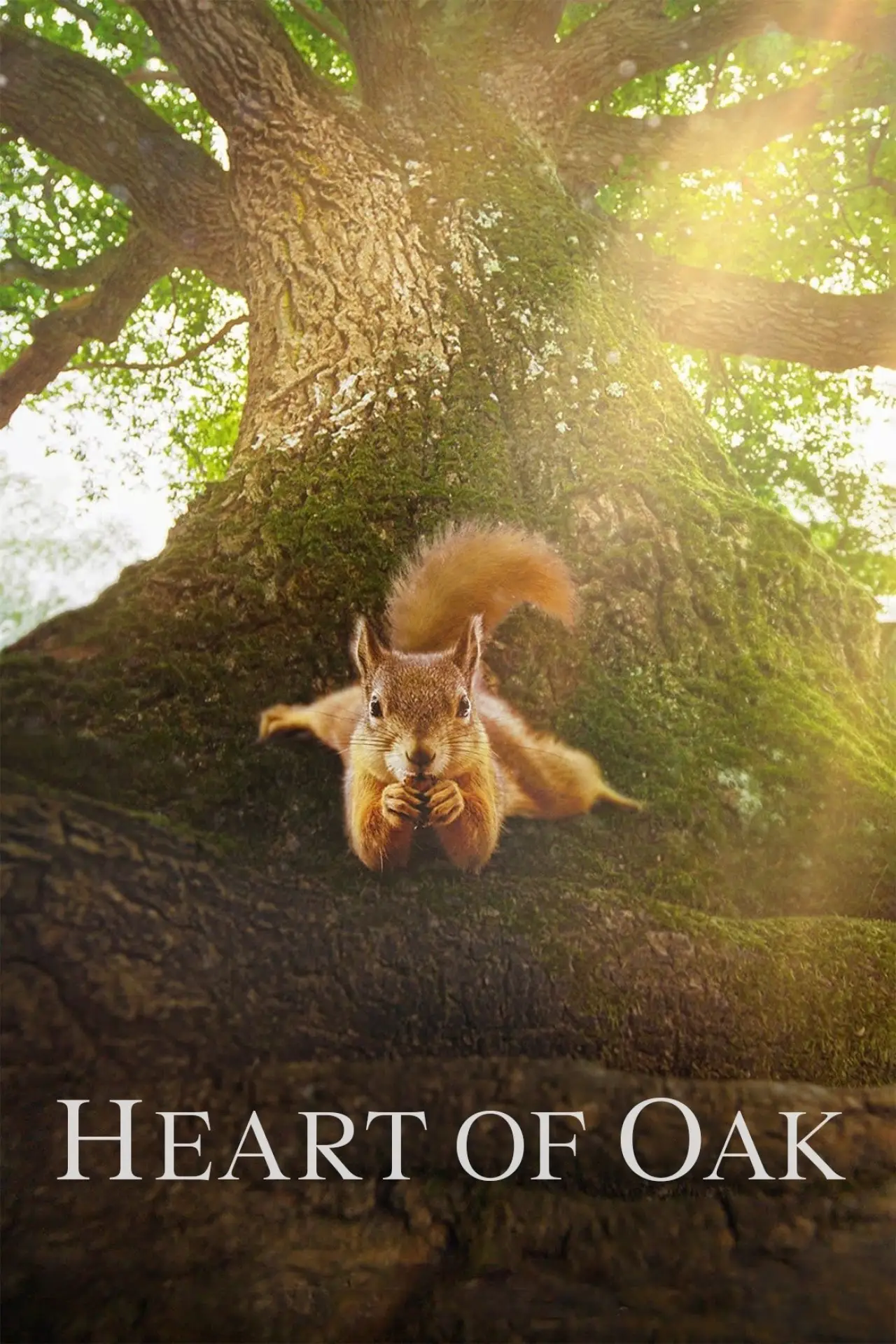 Movie poster "Heart of an Oak"