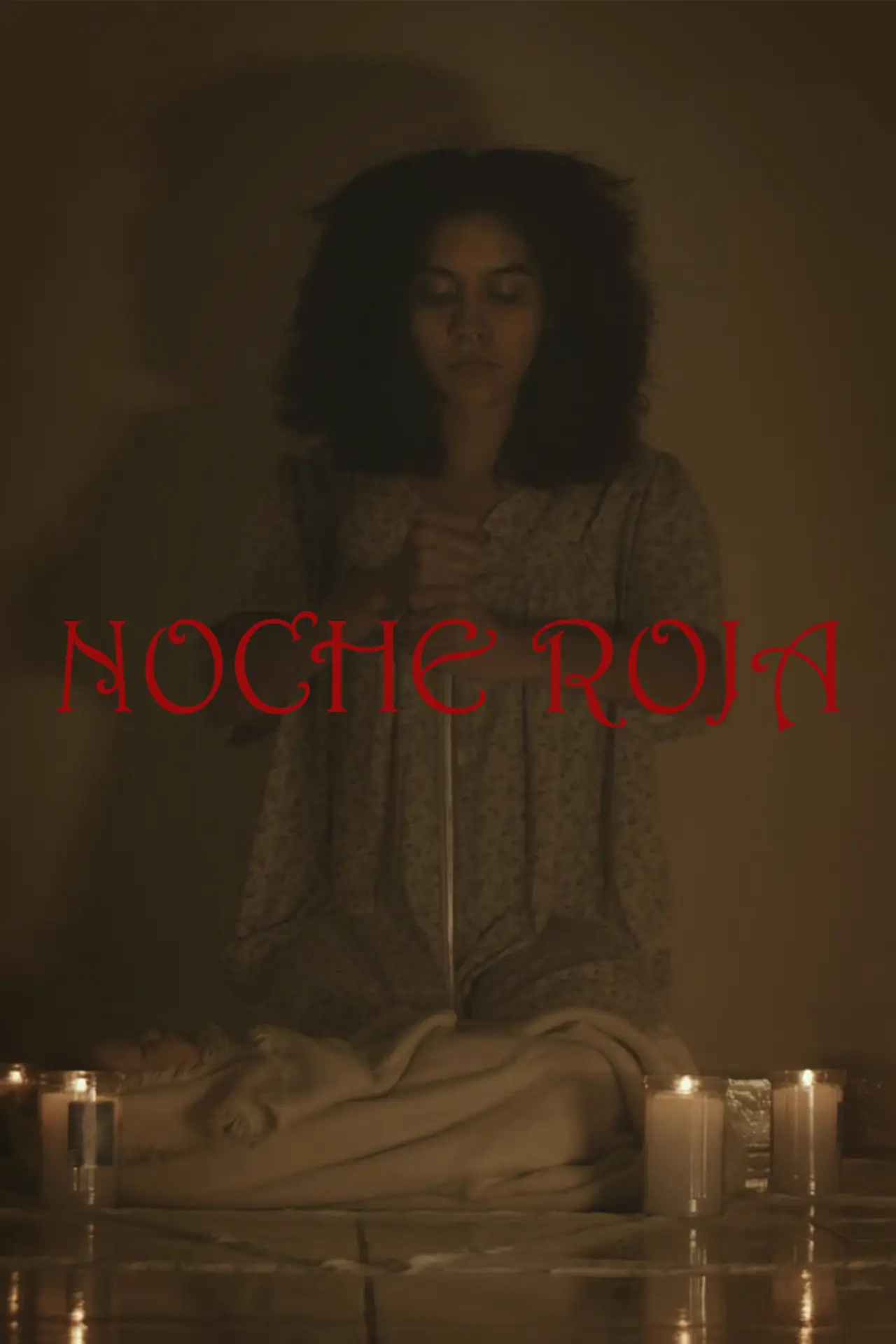 Movie poster "Red Night"