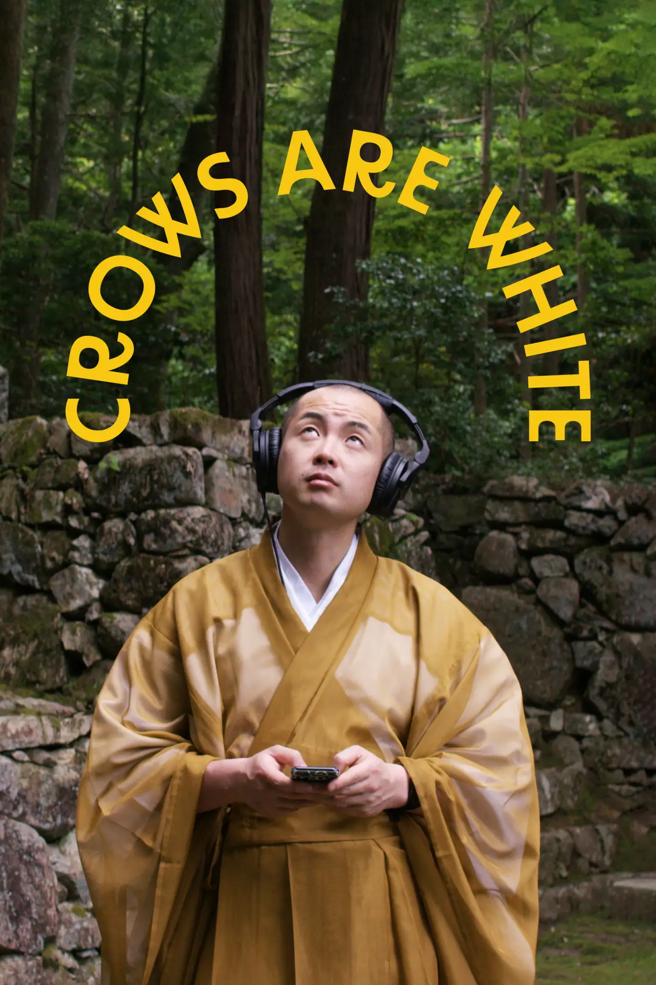 Movie poster "Crows Are White"