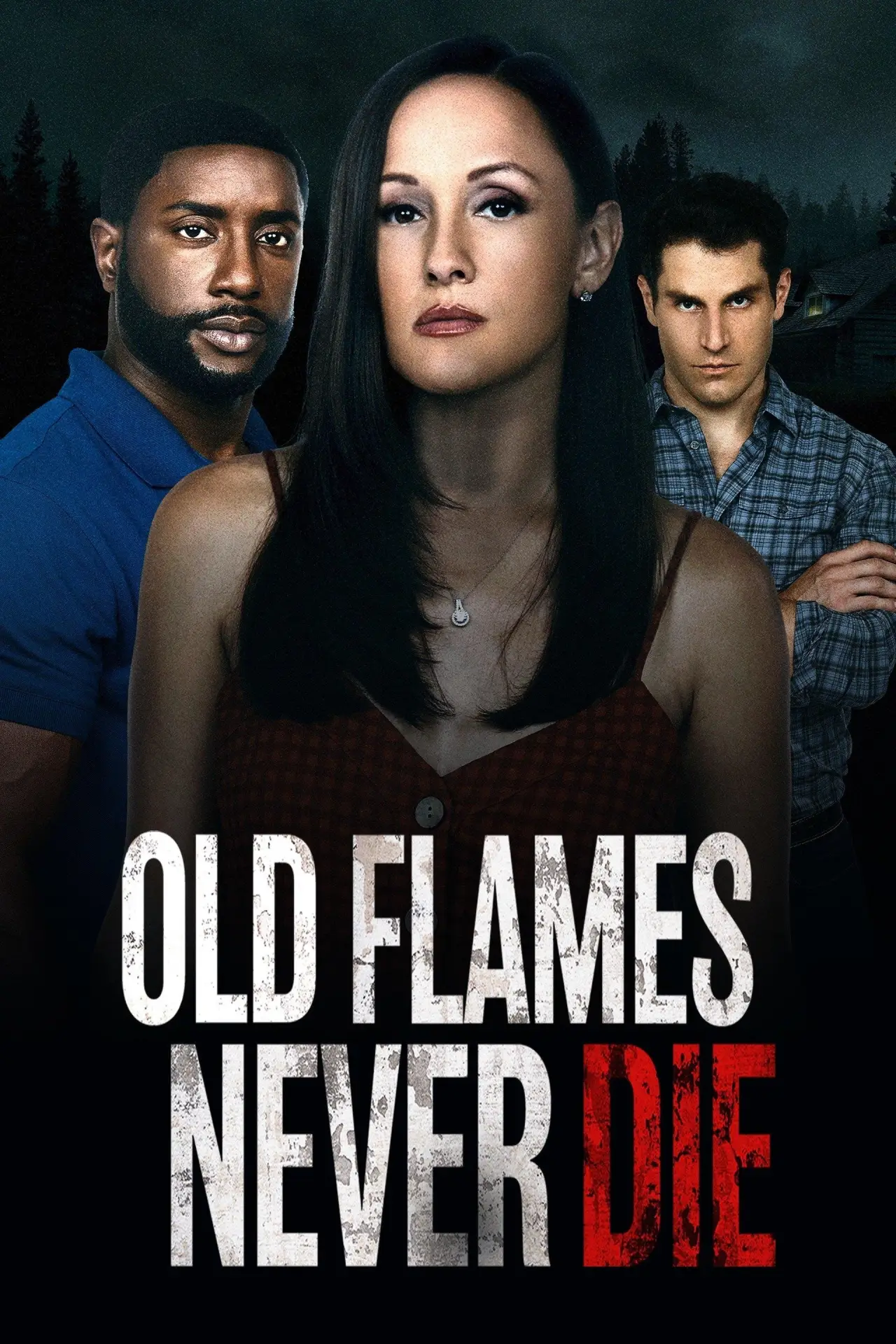 Movie poster "Old Flames Never Die"