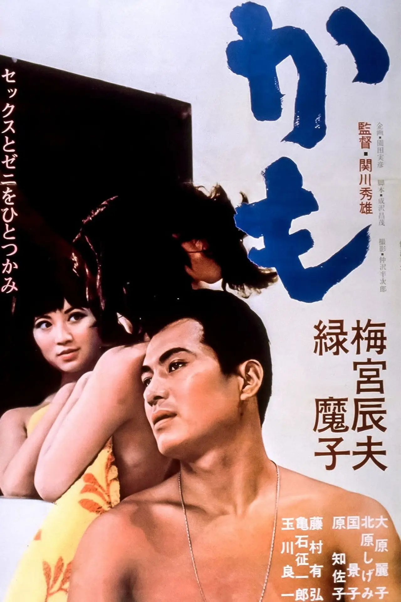Movie poster "Dupe"