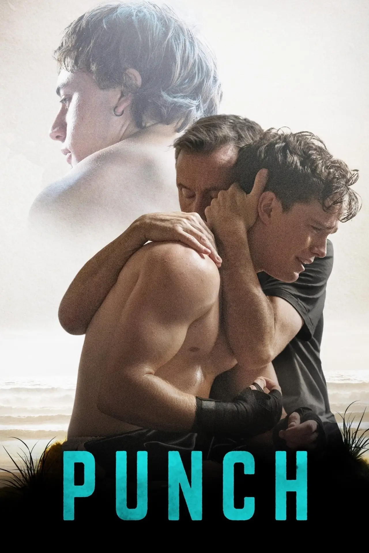 Movie poster "Punch"