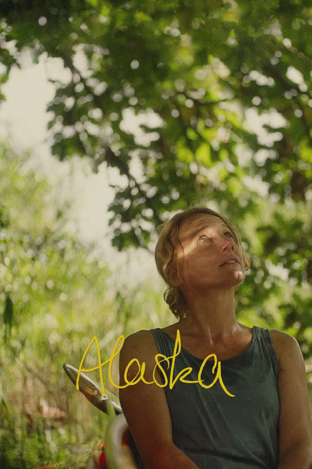 Movie poster "Alaska"