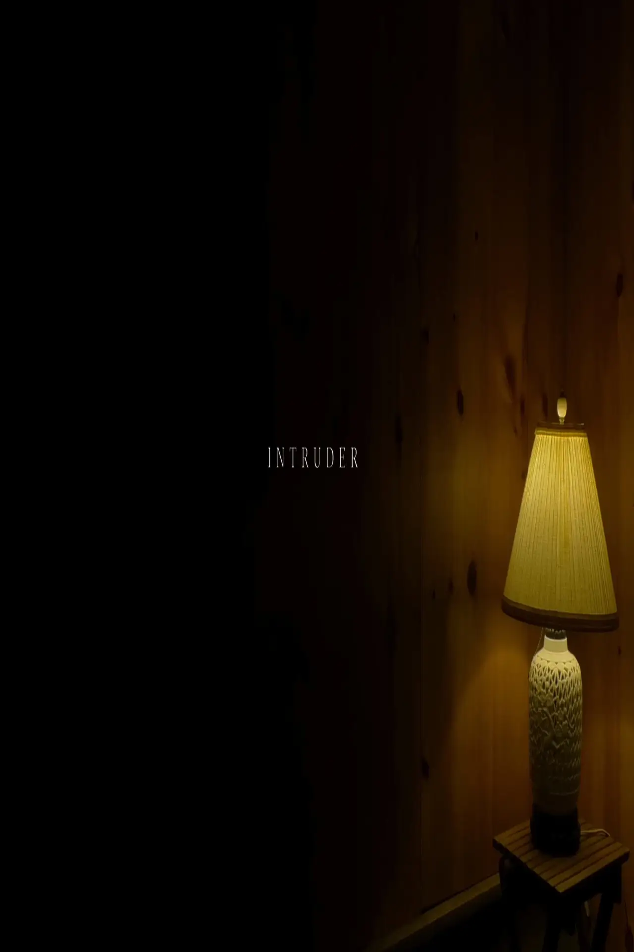 Movie poster "Intruder"