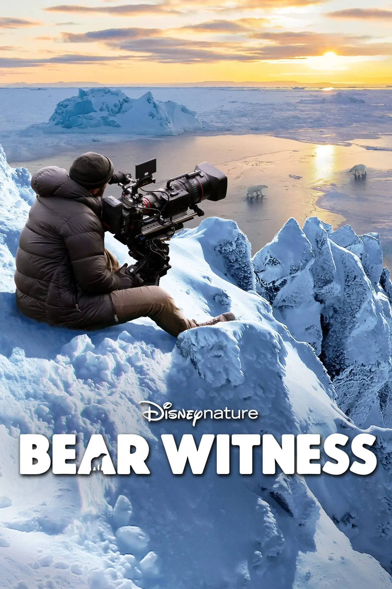 Movie poster "Bear Witness"