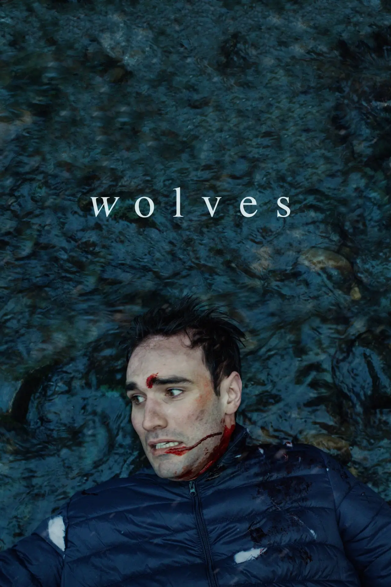 Movie poster "Wolves"