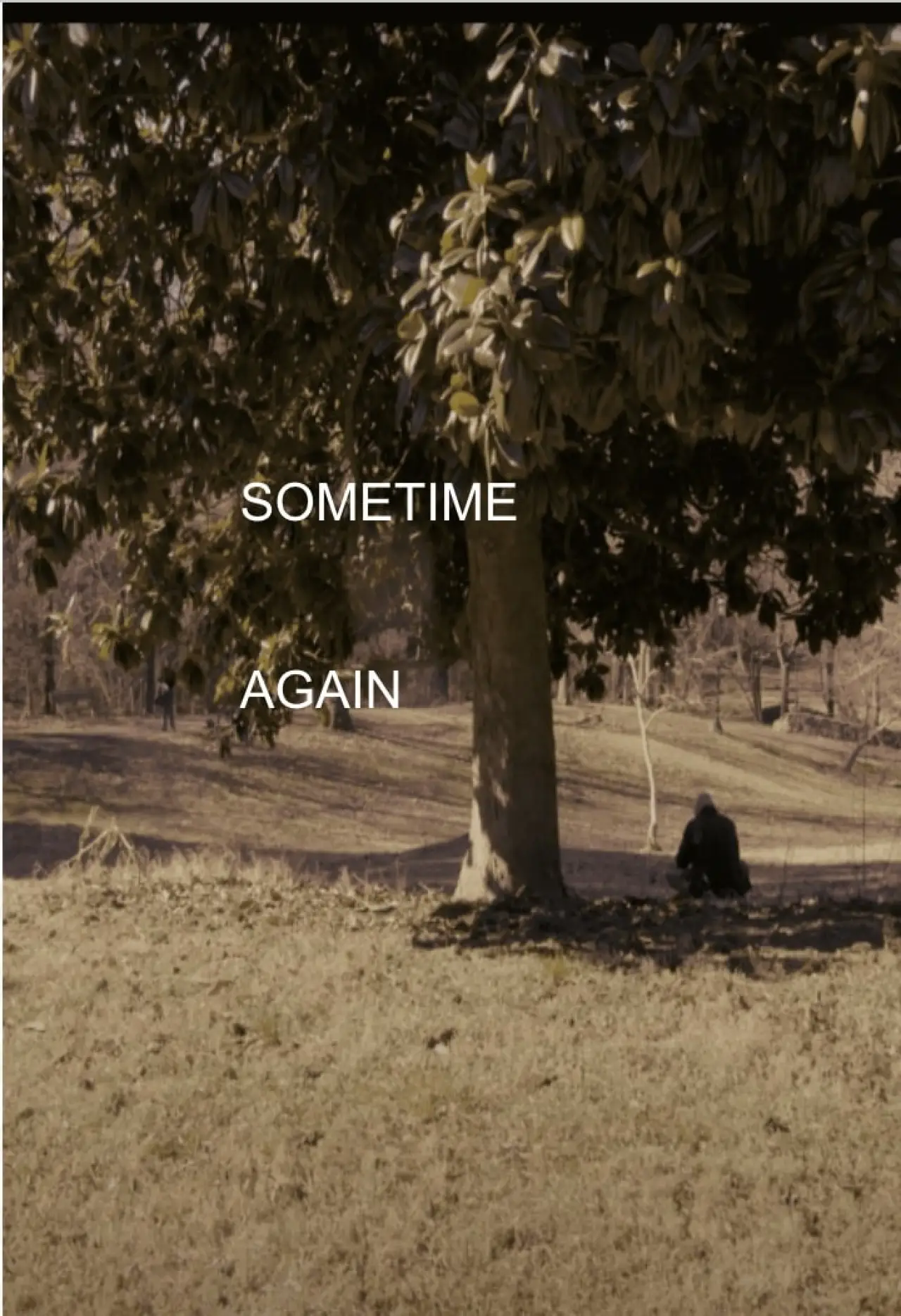 Movie poster "Sometime Again"