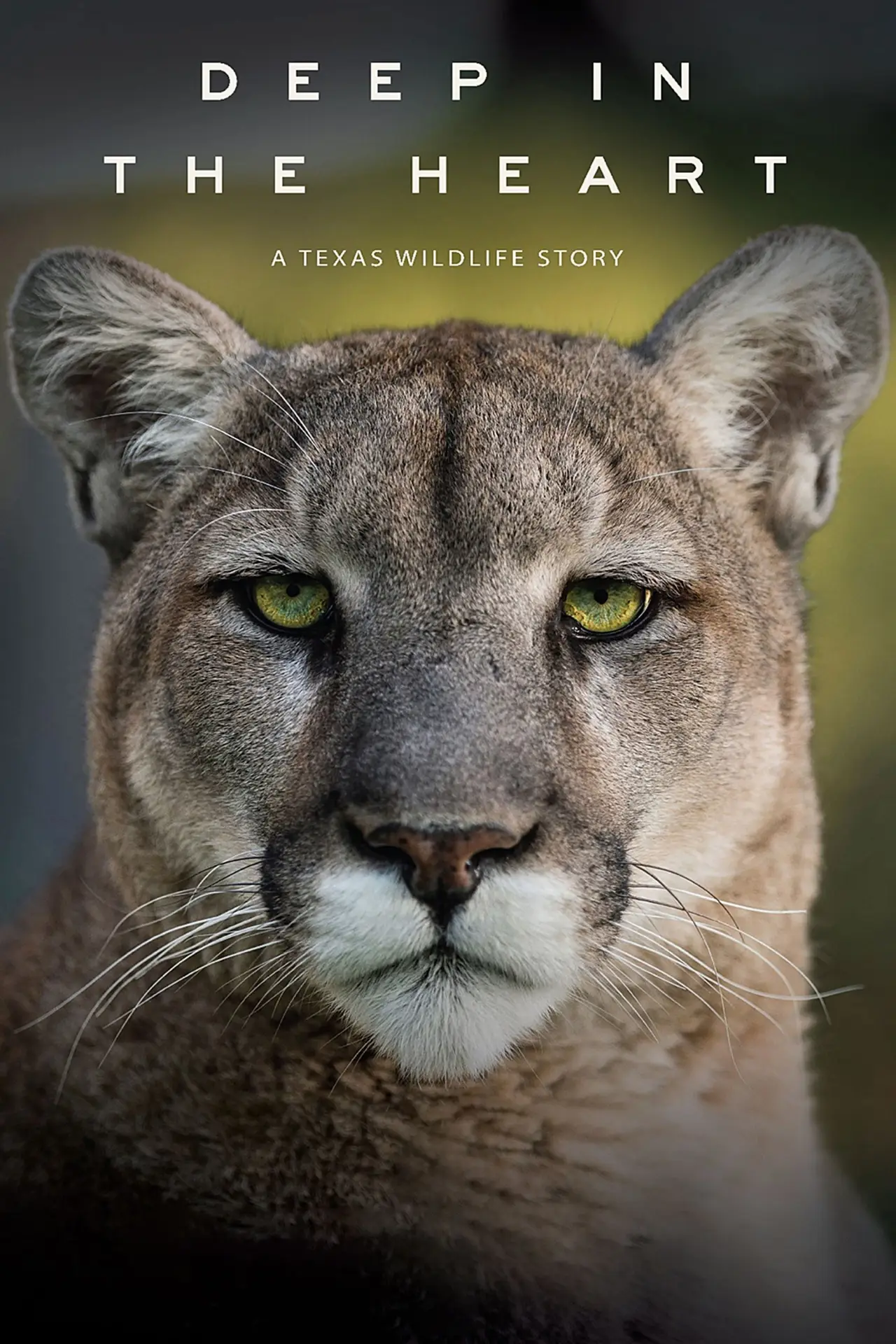 Movie poster "Deep in the Heart: A Texas Wildlife Story"