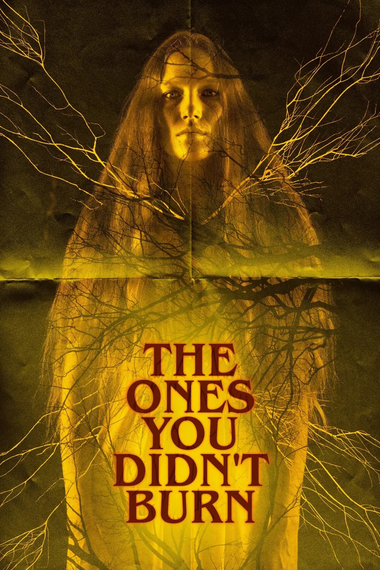 Movie poster "The Ones You Didn’t Burn"