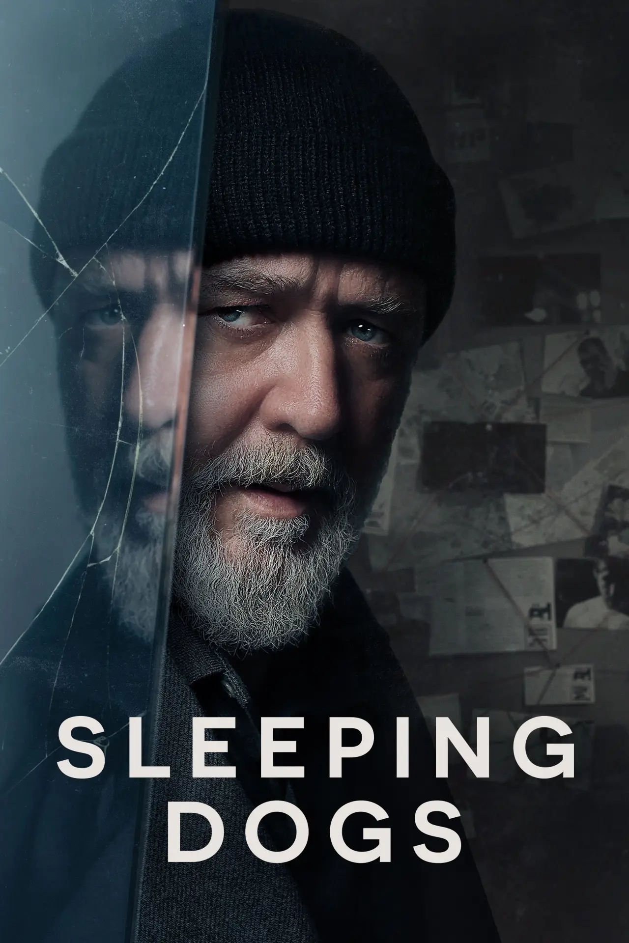 Movie poster "Sleeping Dogs"