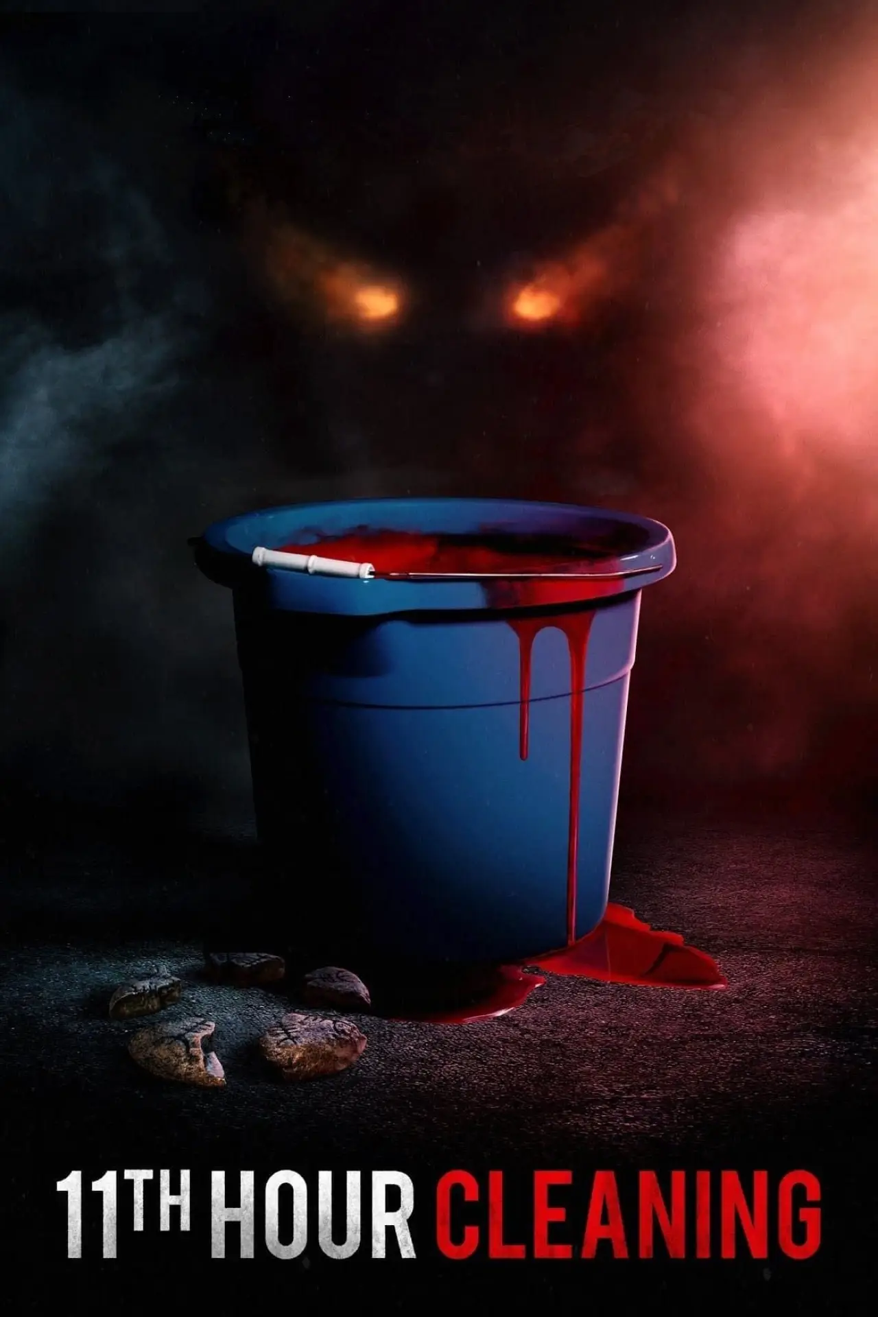 Movie poster "11th Hour Cleaning"