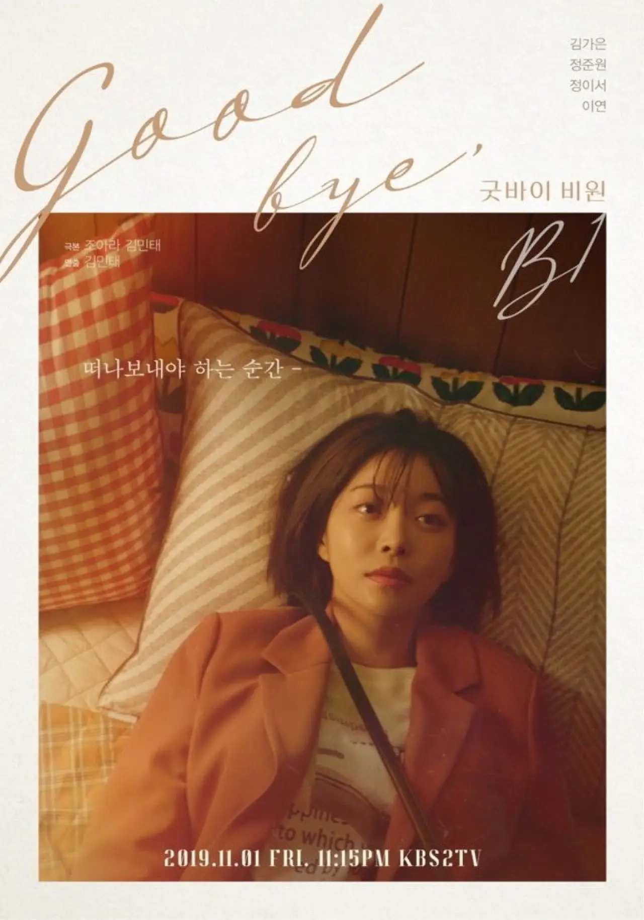 Movie poster "Goodbye B1"
