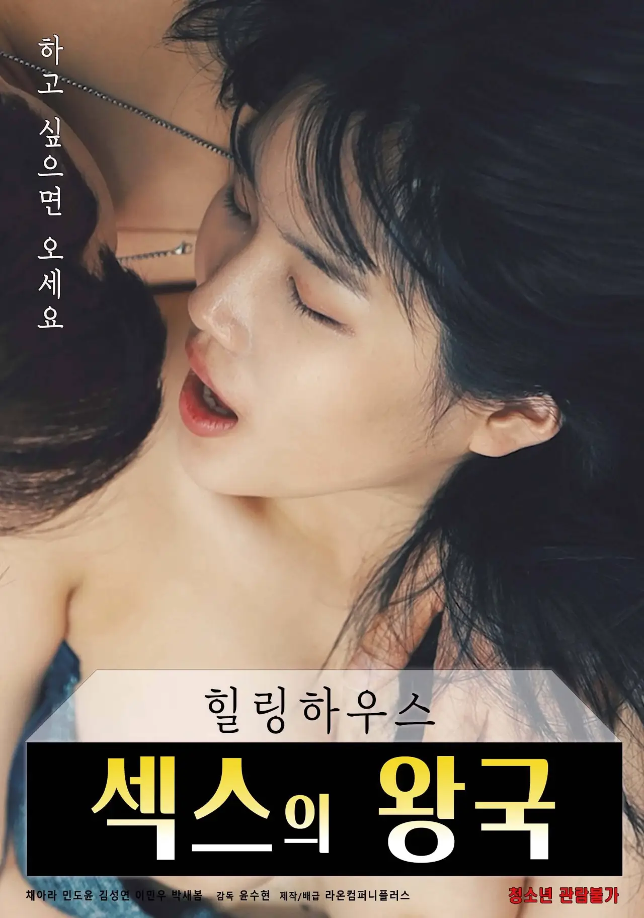 Movie poster "Healing House: Kingdom of Sex"