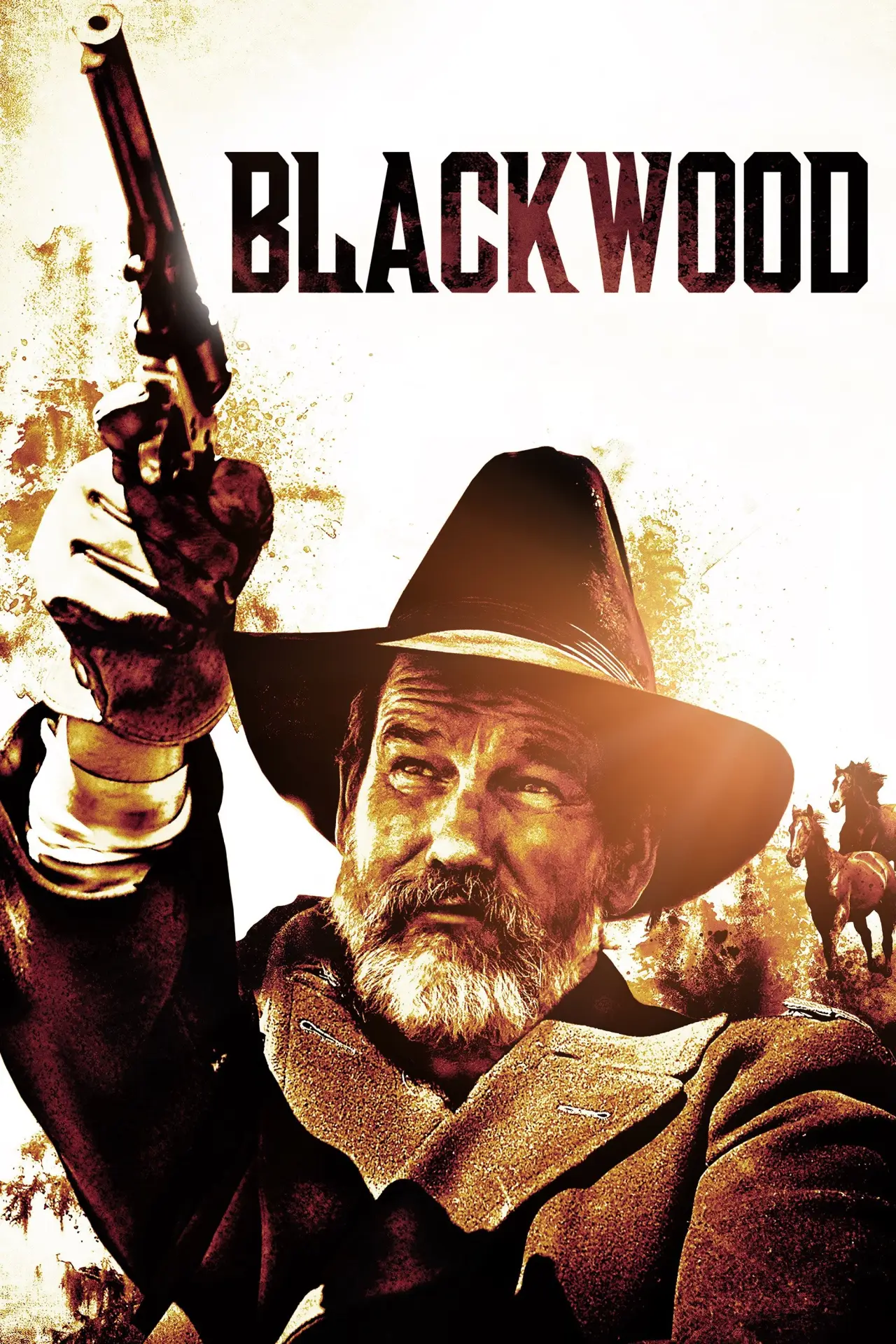 Movie poster "Blackwood"