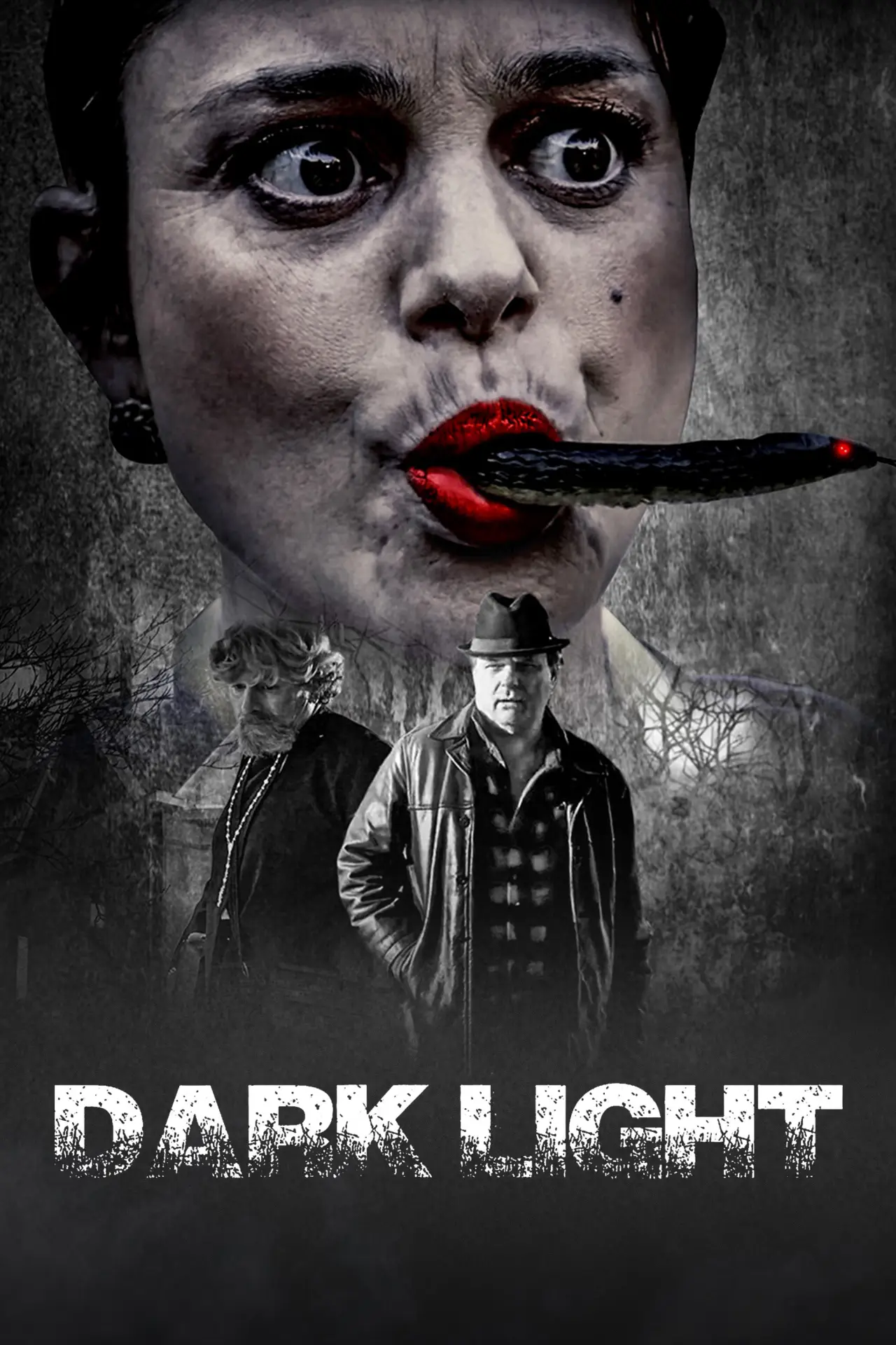 Movie poster "Dark Light"