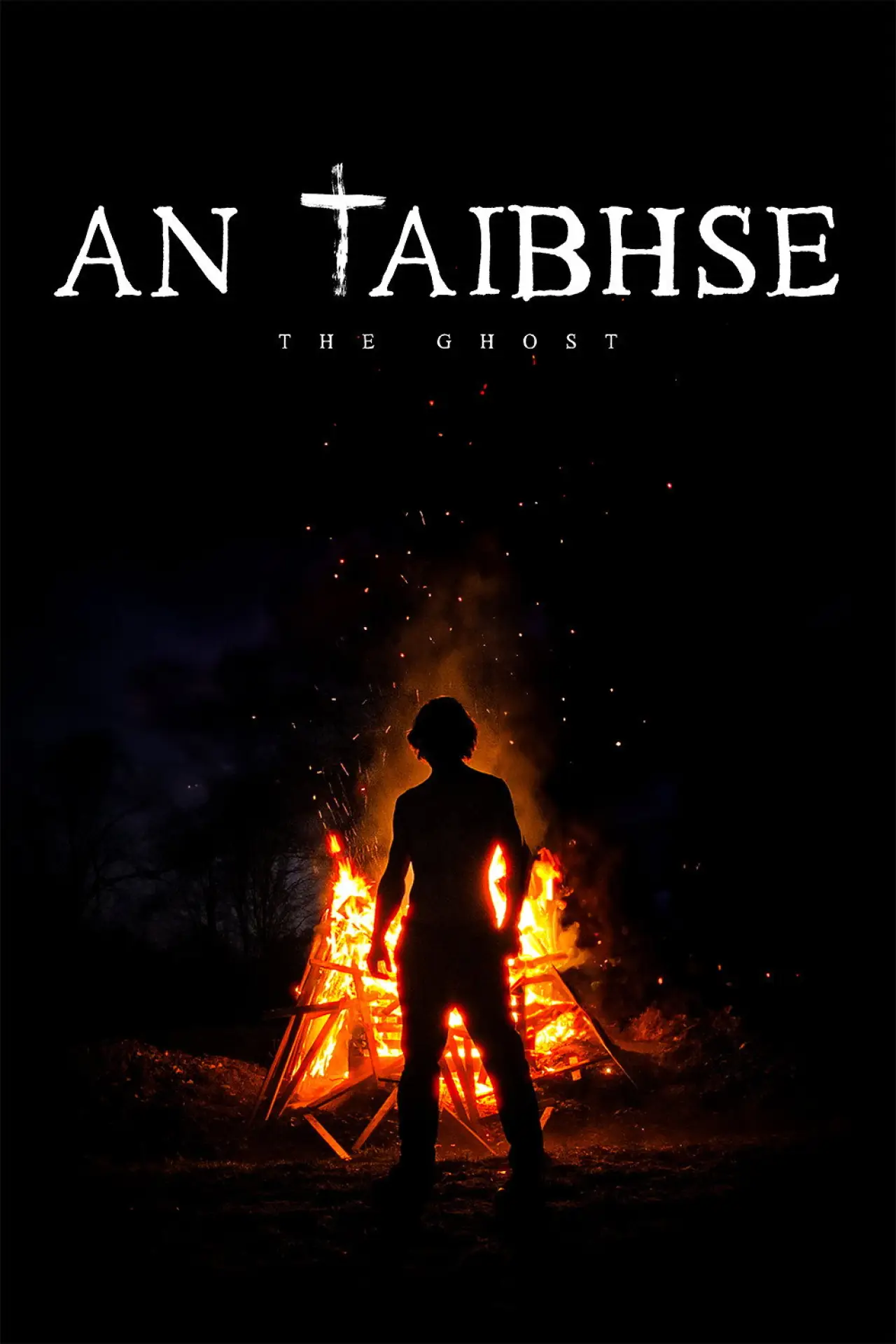 Movie poster "The Ghost"