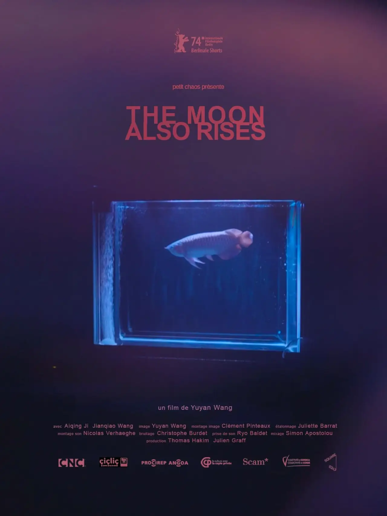 Movie poster "The Moon Also Rises"
