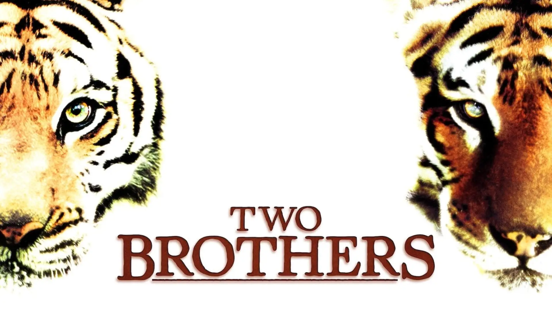 Video for the film Two Brothers — Two Brothers Official Trailer #1 - Guy Pearce Movie (2004) HD