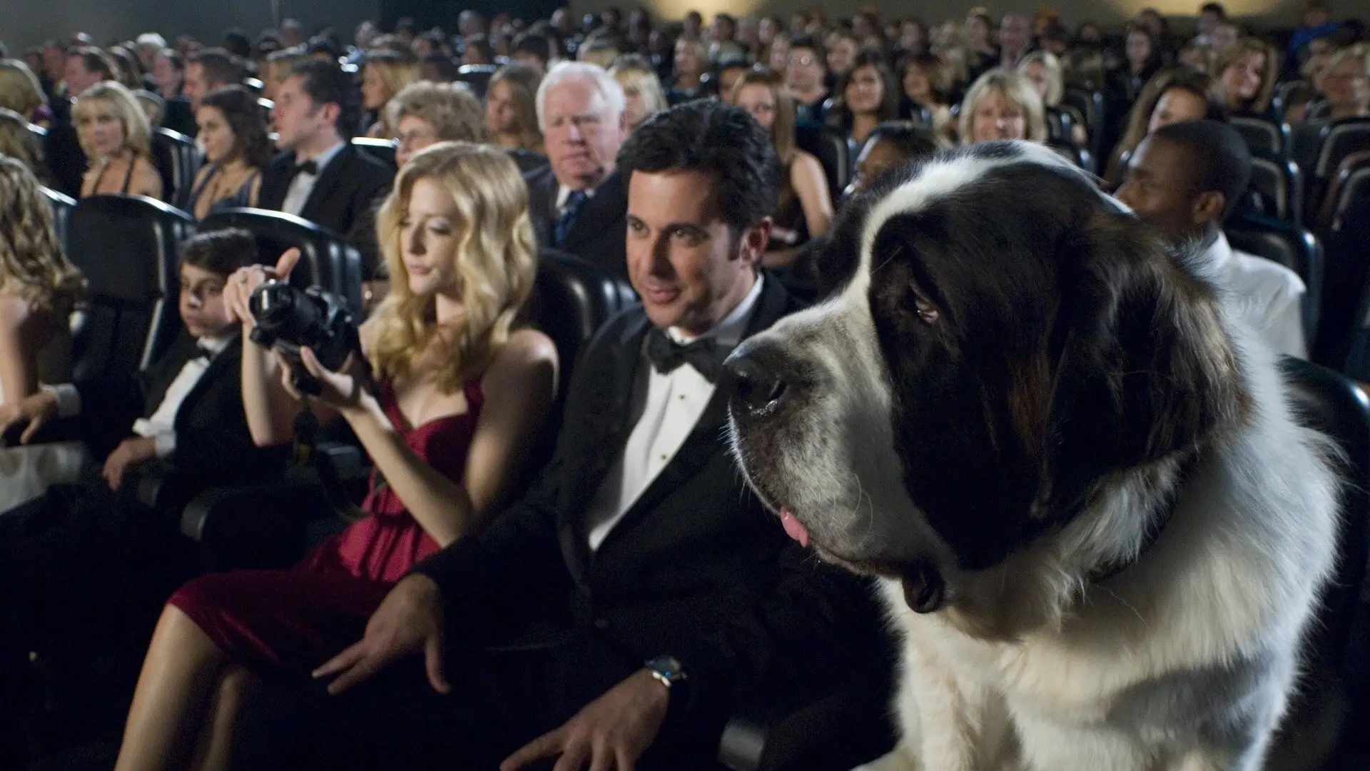 Video for the film Beethoven's Big Break — Beethoven's Big Break - Trailer