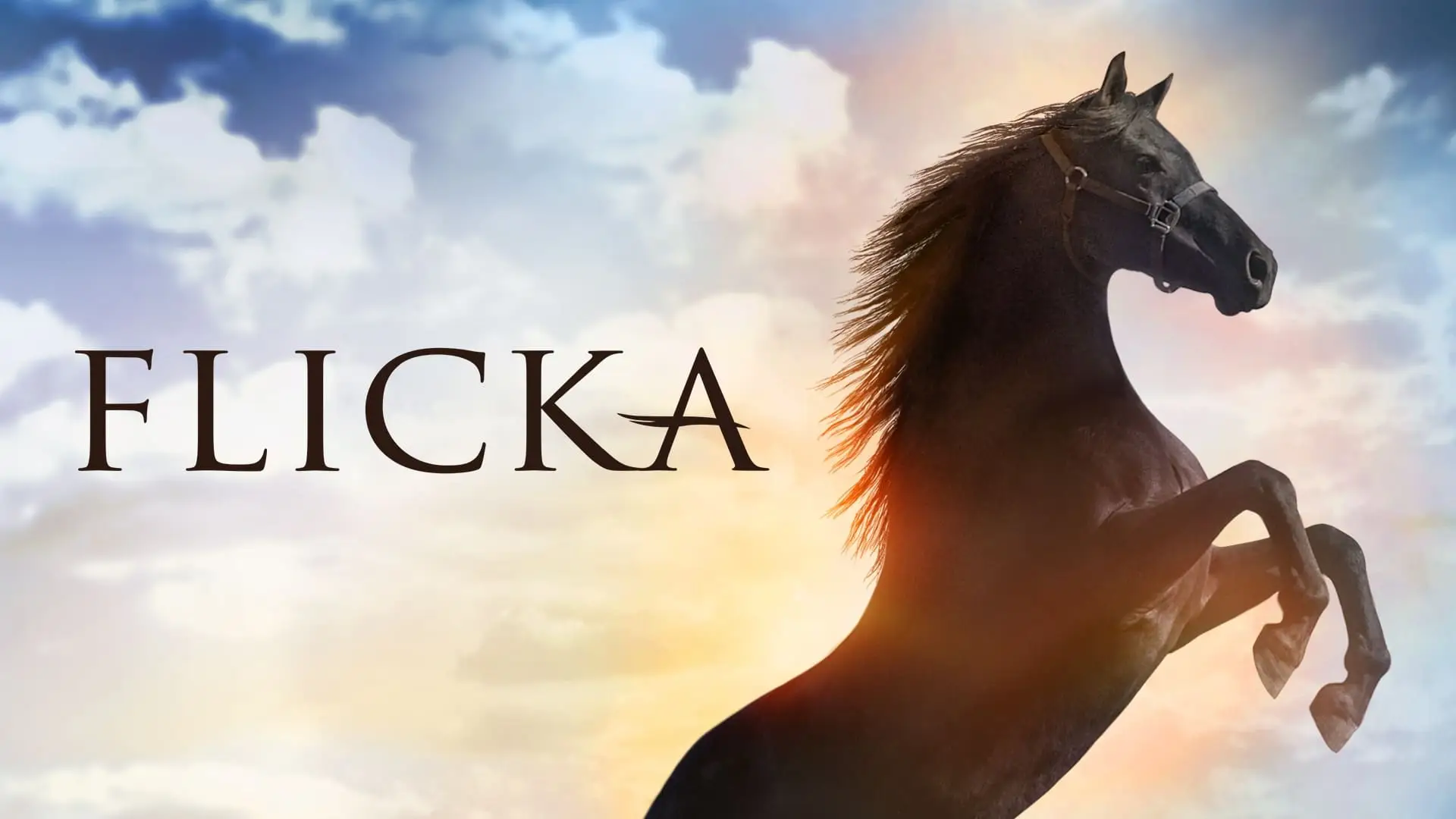 Video for the film Flicka — Flicka 2006 Official Trailer