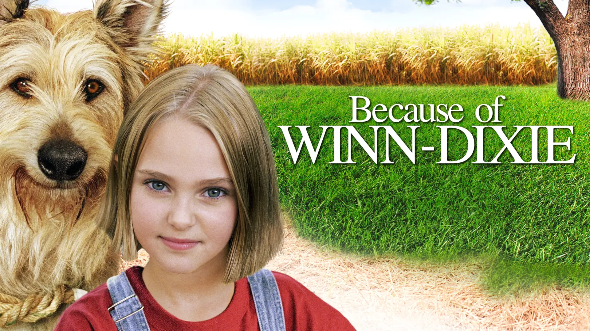 Video for the film Because of Winn-Dixie — Because Of Winn Dixie Trailer HD