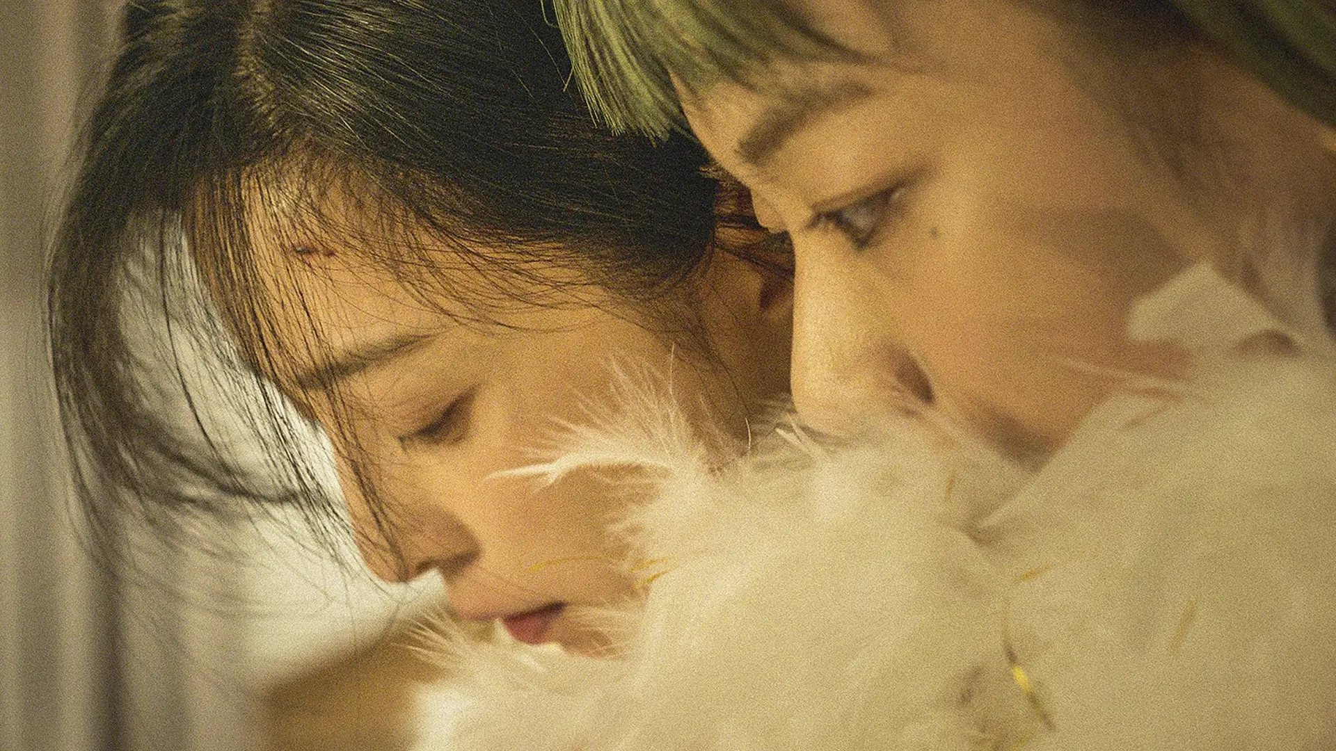 Video for the film Green Night — "Green Night" | Trailer | Berlinale 2023