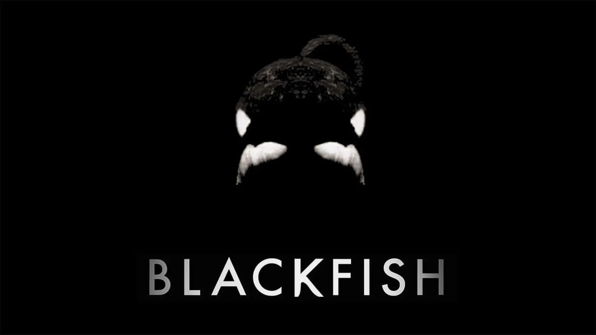 Video for the film Blackfish — Blackfish - Official Trailer